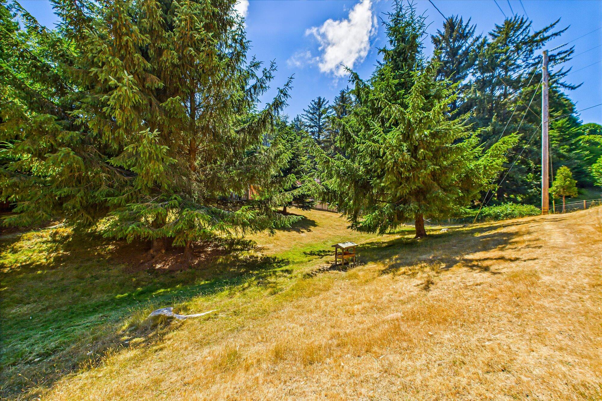 3995 Hillside Court