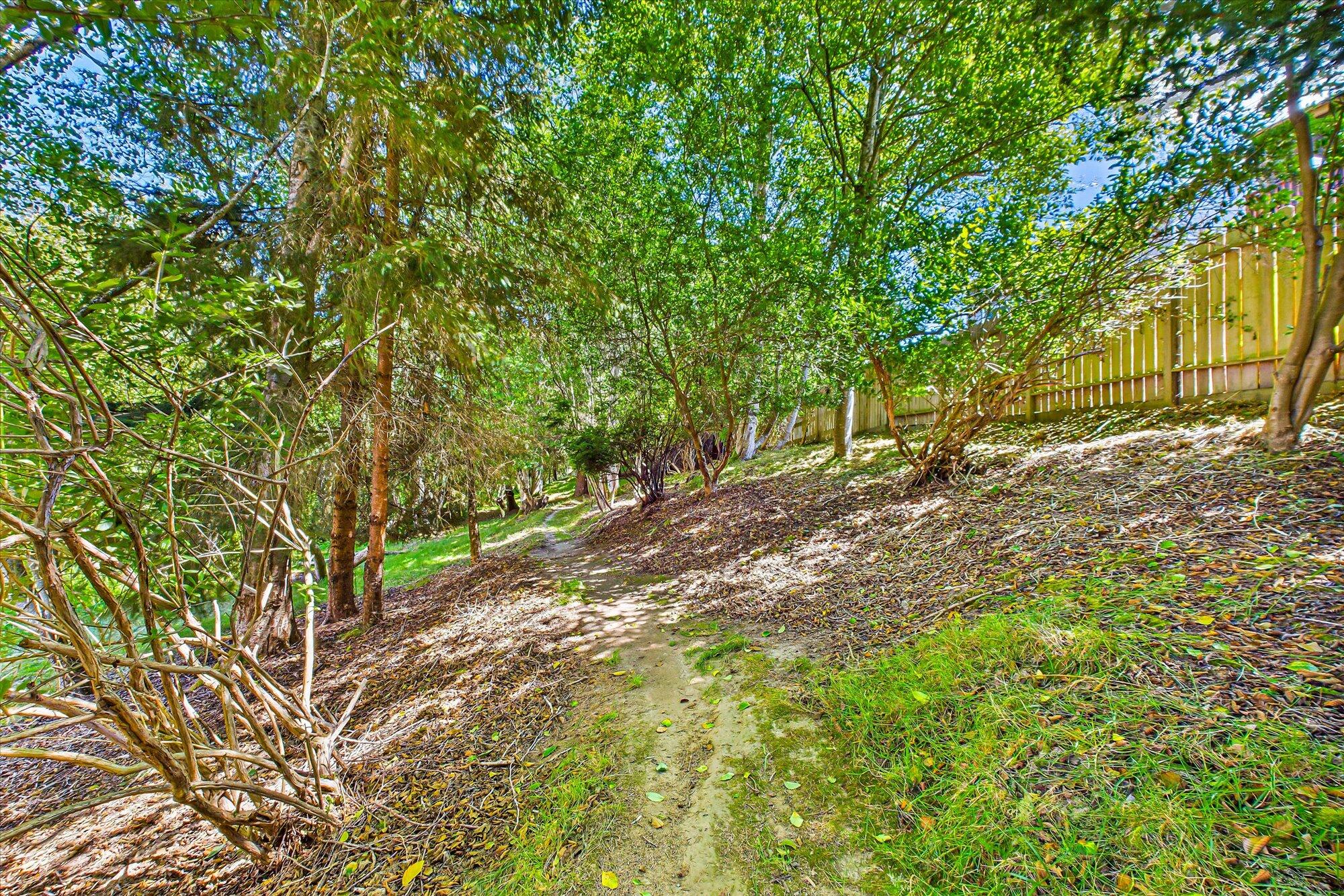 3995 Hillside Court