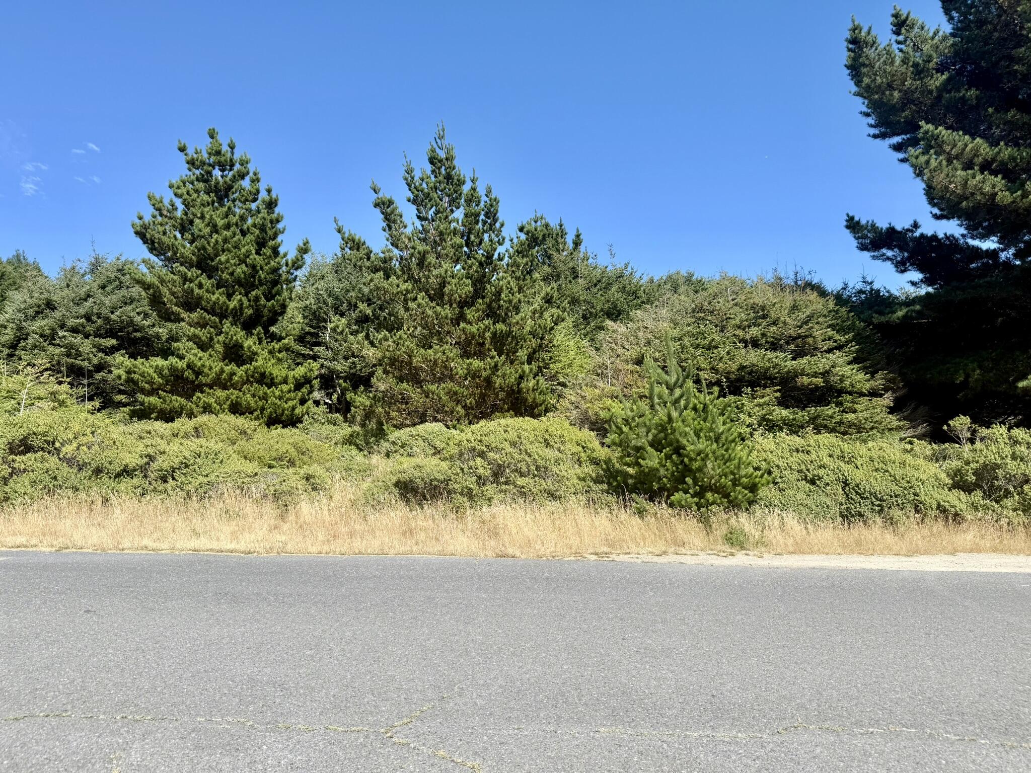 170 Wave Drive