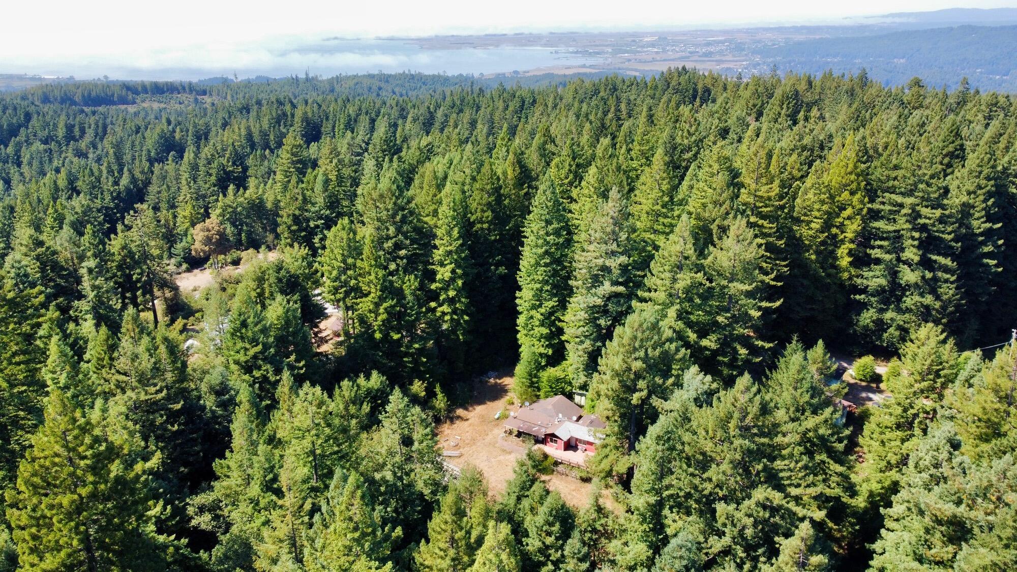 3639 Greenwood Heights Drive