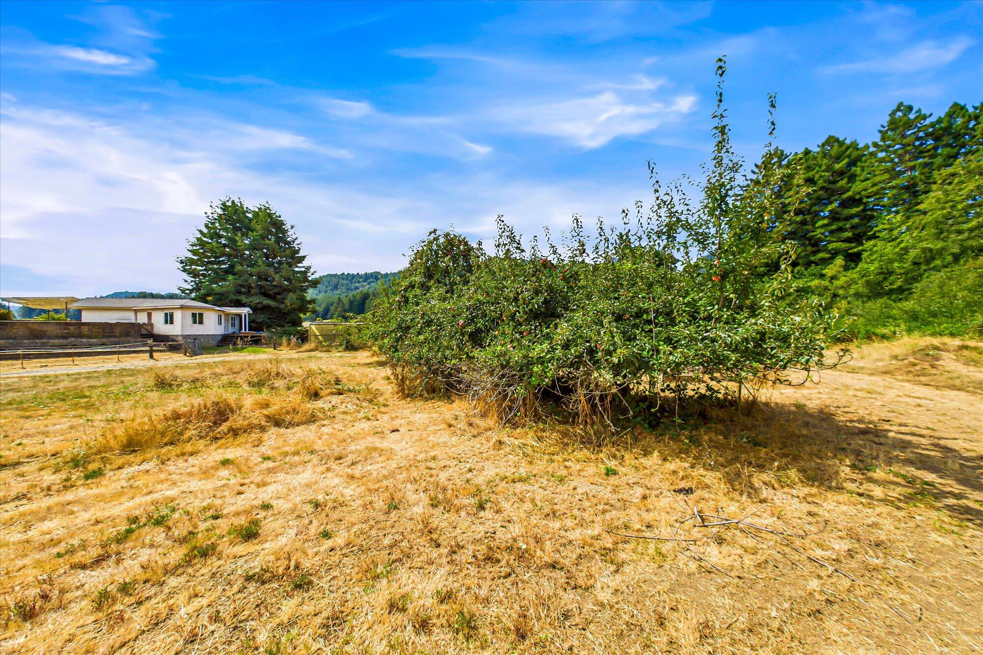 1550 Hatchery Road
