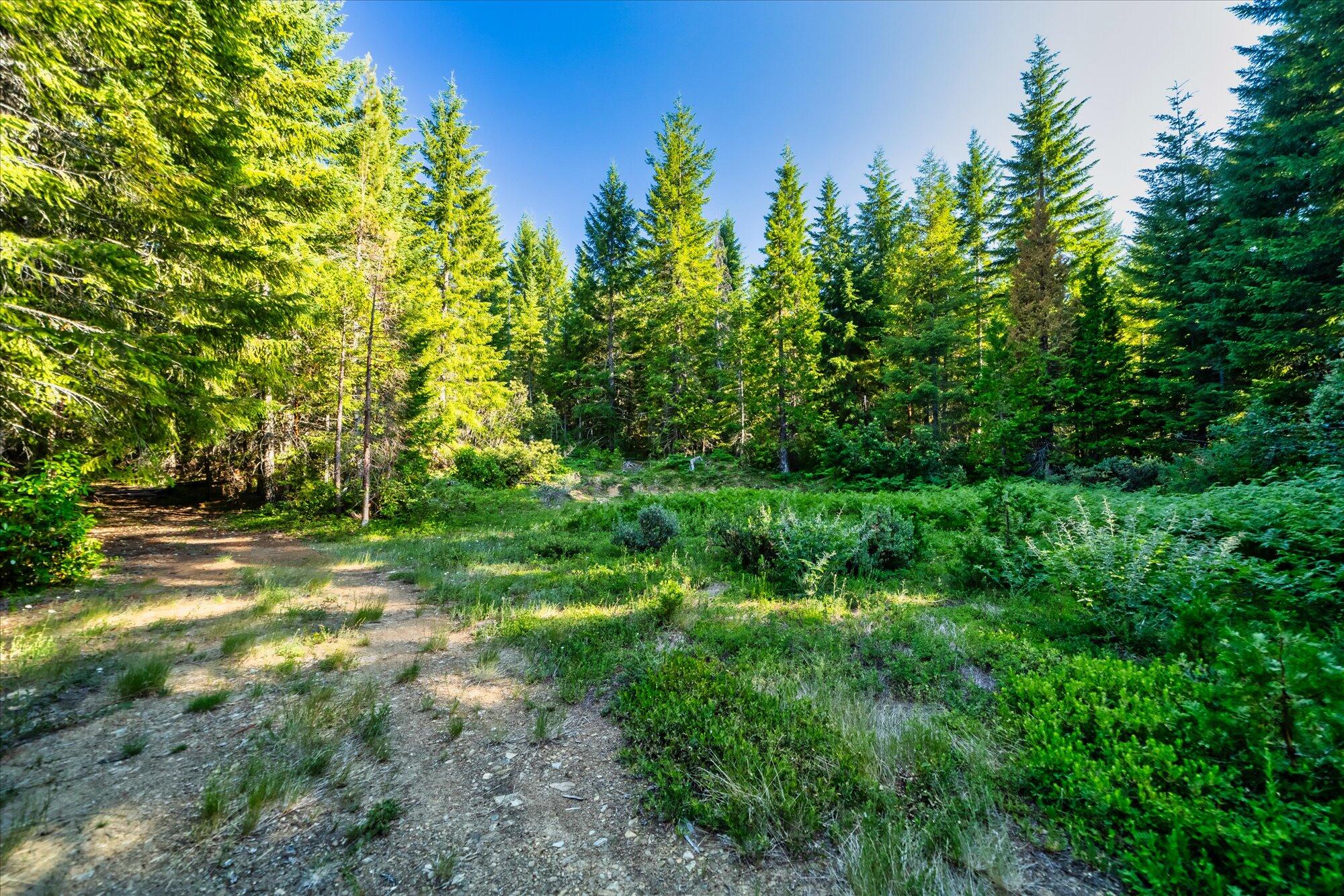 000 Bluff Creek Trail Road