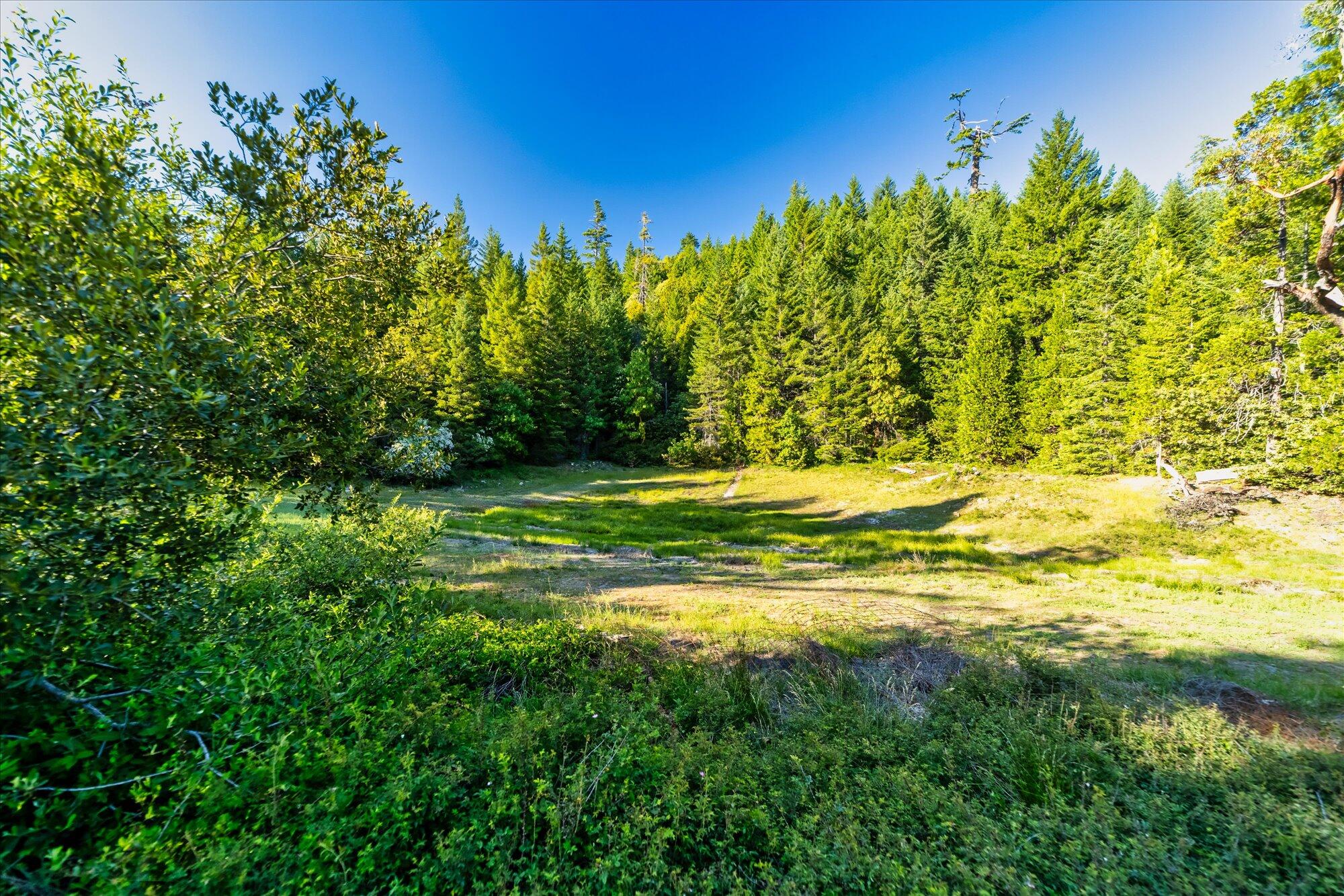 000 Bluff Creek Trail Road