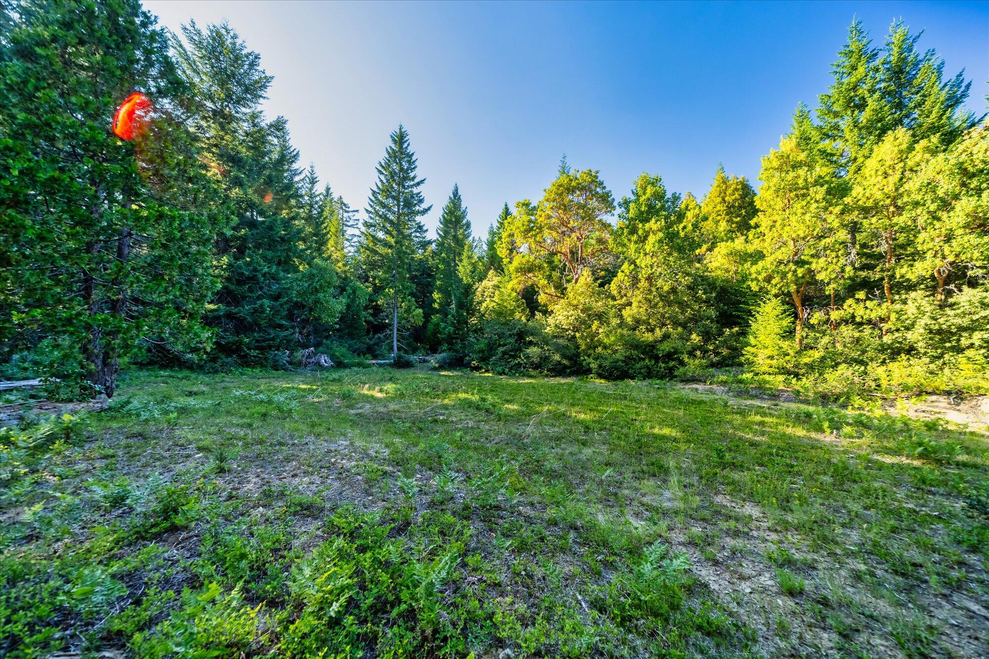 000 Bluff Creek Trail Road