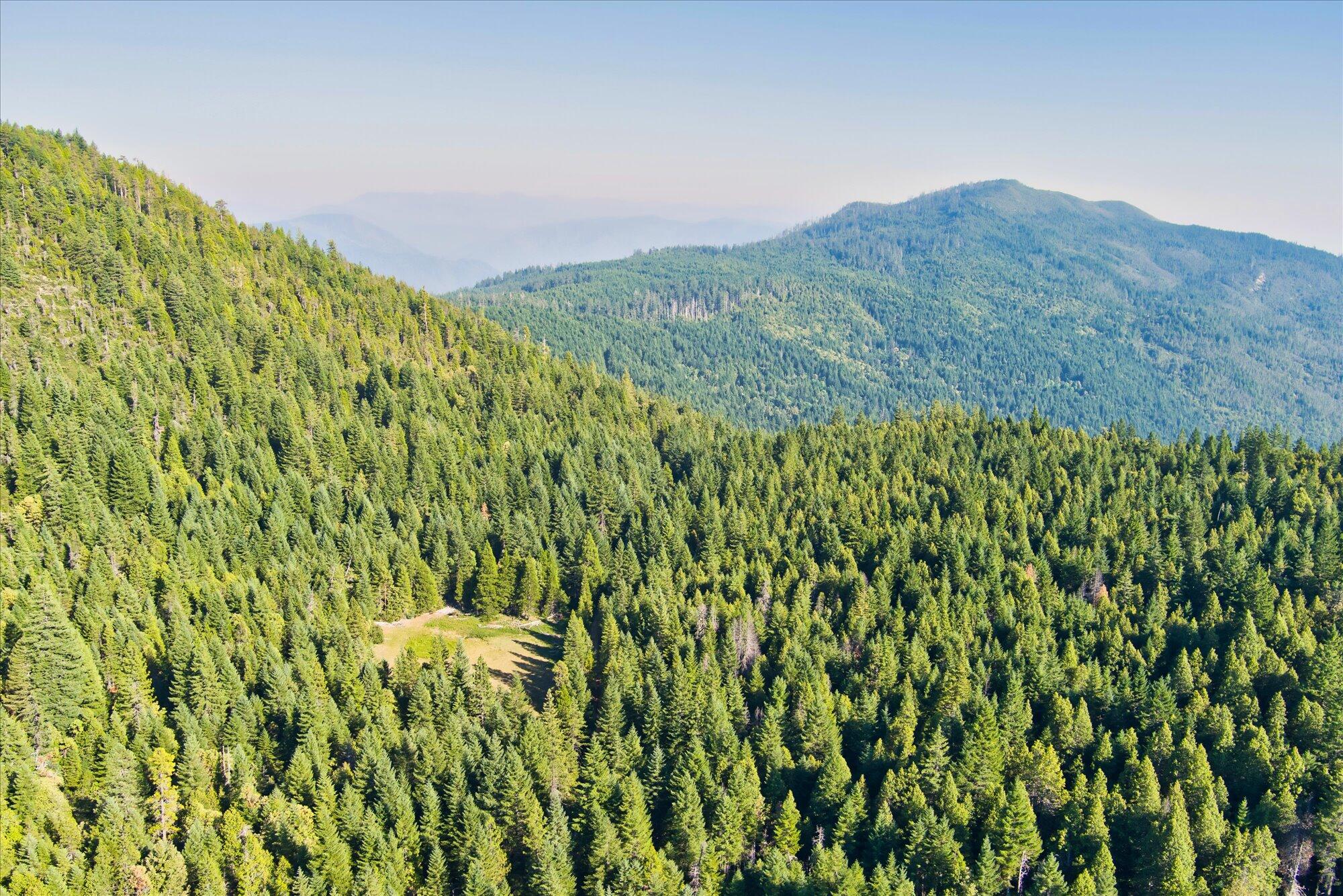 000 Bluff Creek Trail Road