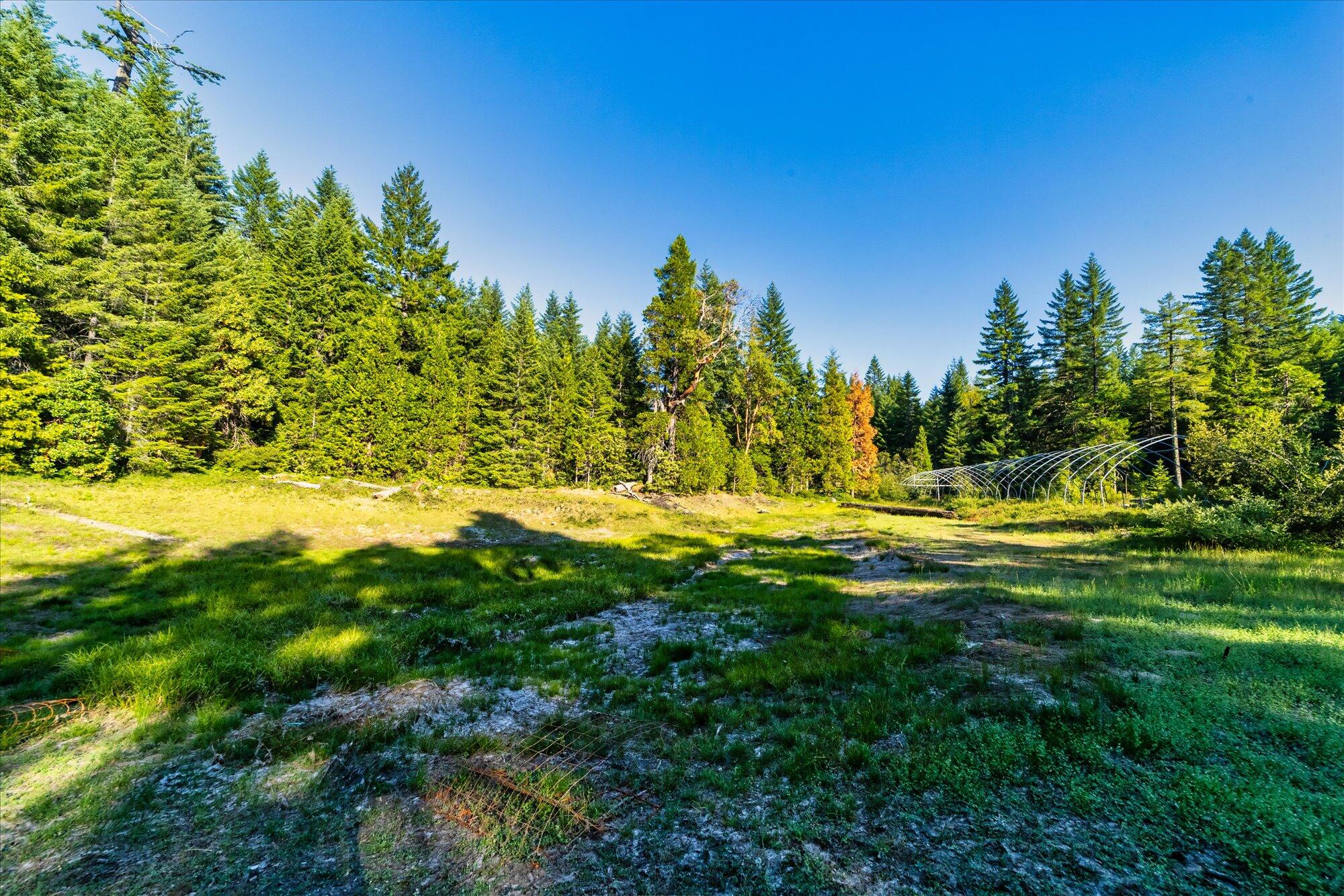 000 Bluff Creek Trail Road