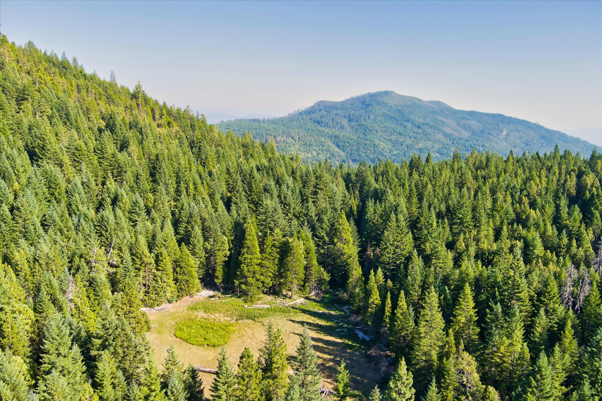 000 Bluff Creek Trail Road