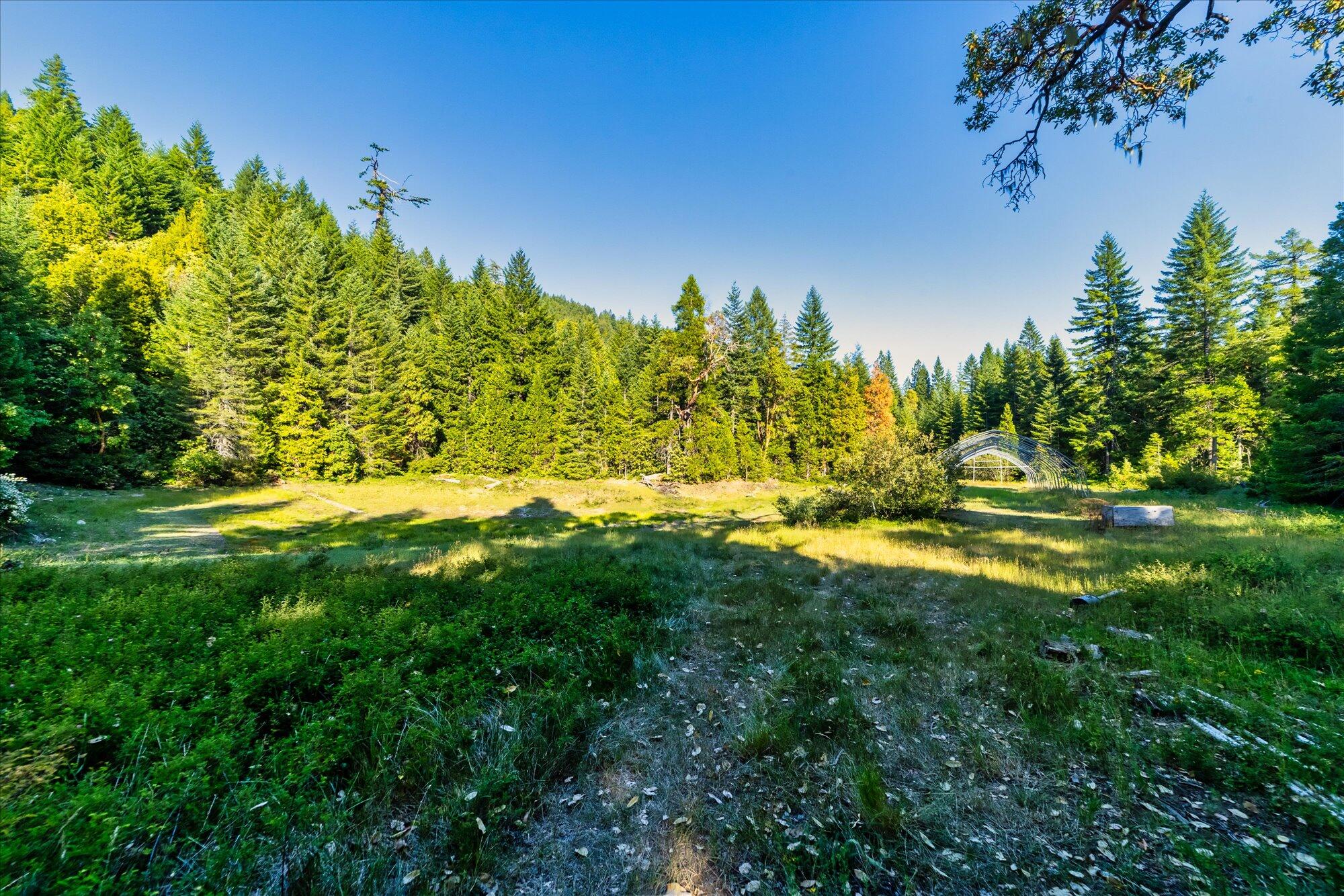 000 Bluff Creek Trail Road