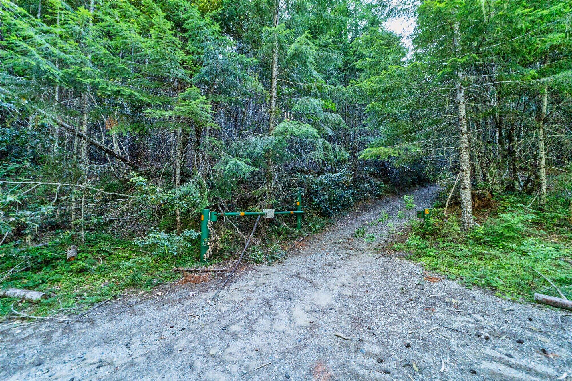 000 Bluff Creek Trail Road
