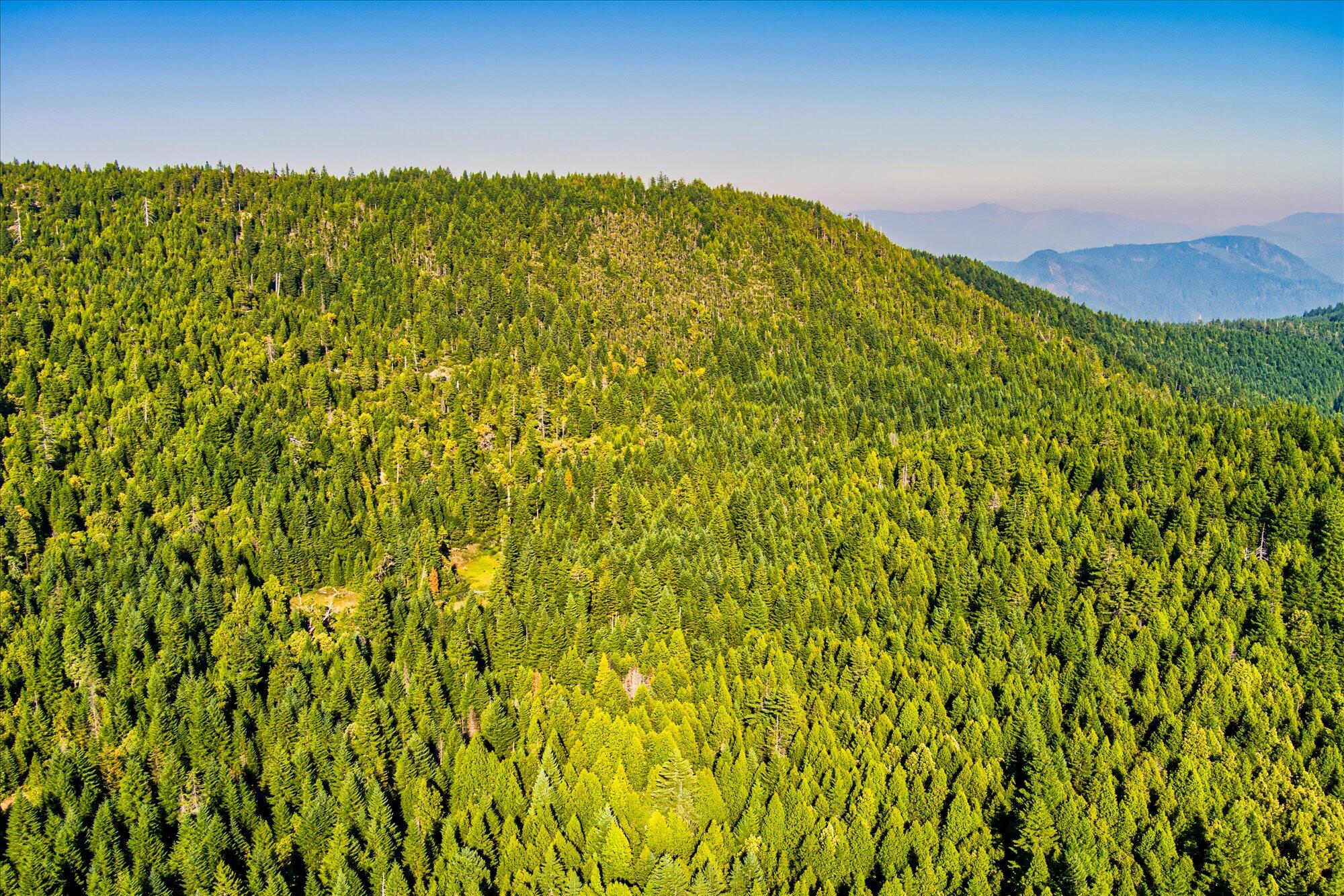 000 Bluff Creek Trail Road