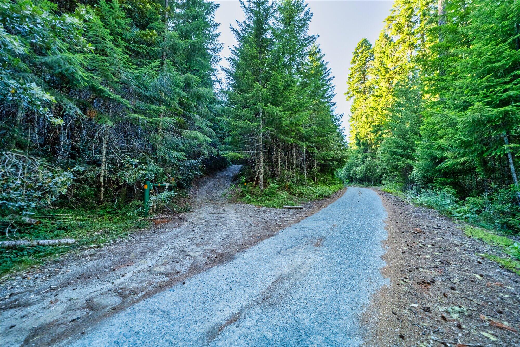 000 Bluff Creek Trail Road