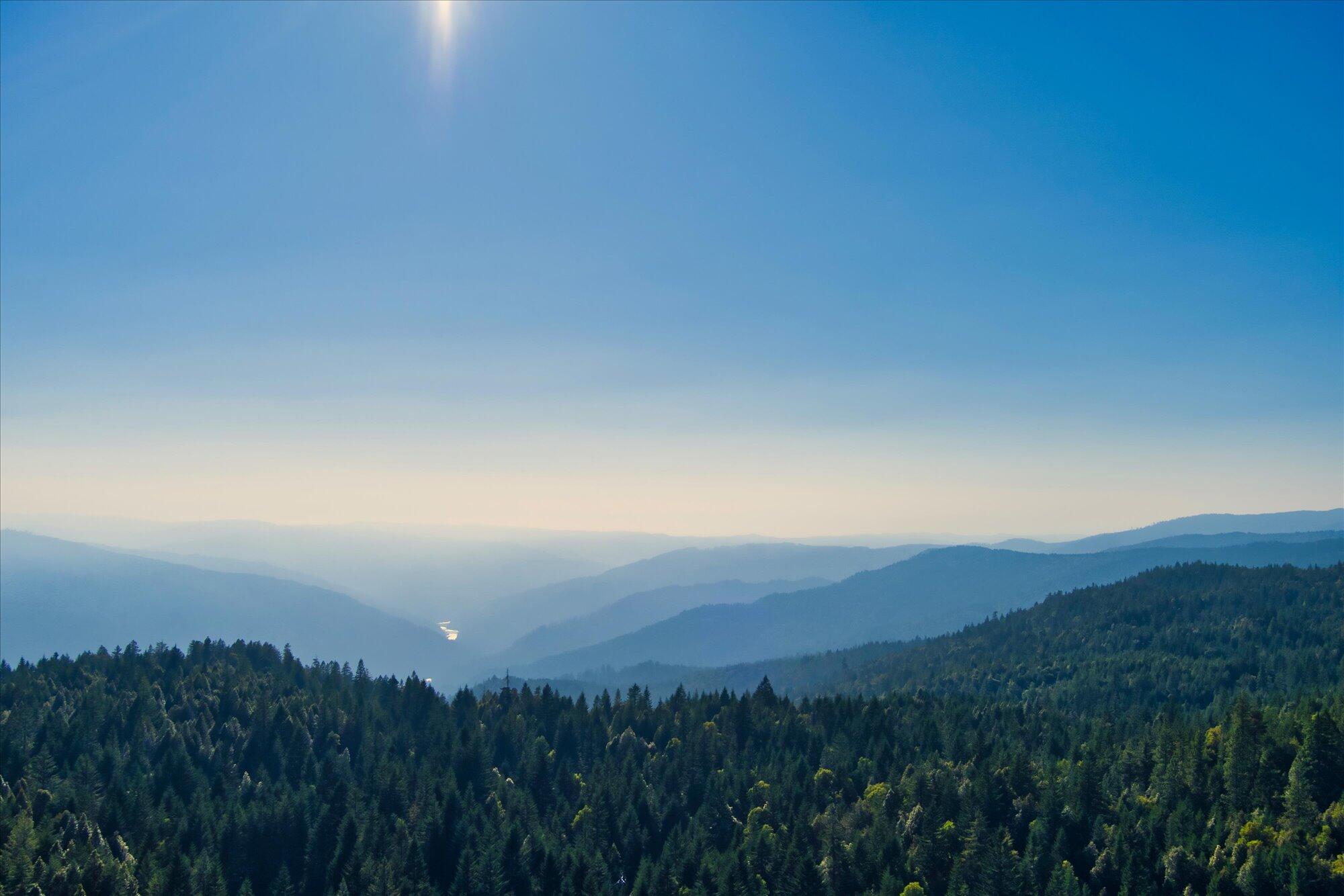 000 Bluff Creek Trail Road