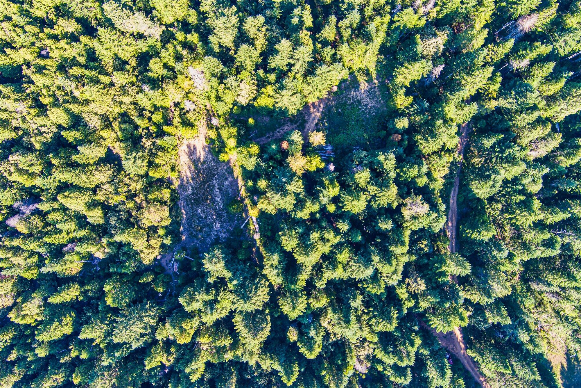 000 Bluff Creek Trail Road