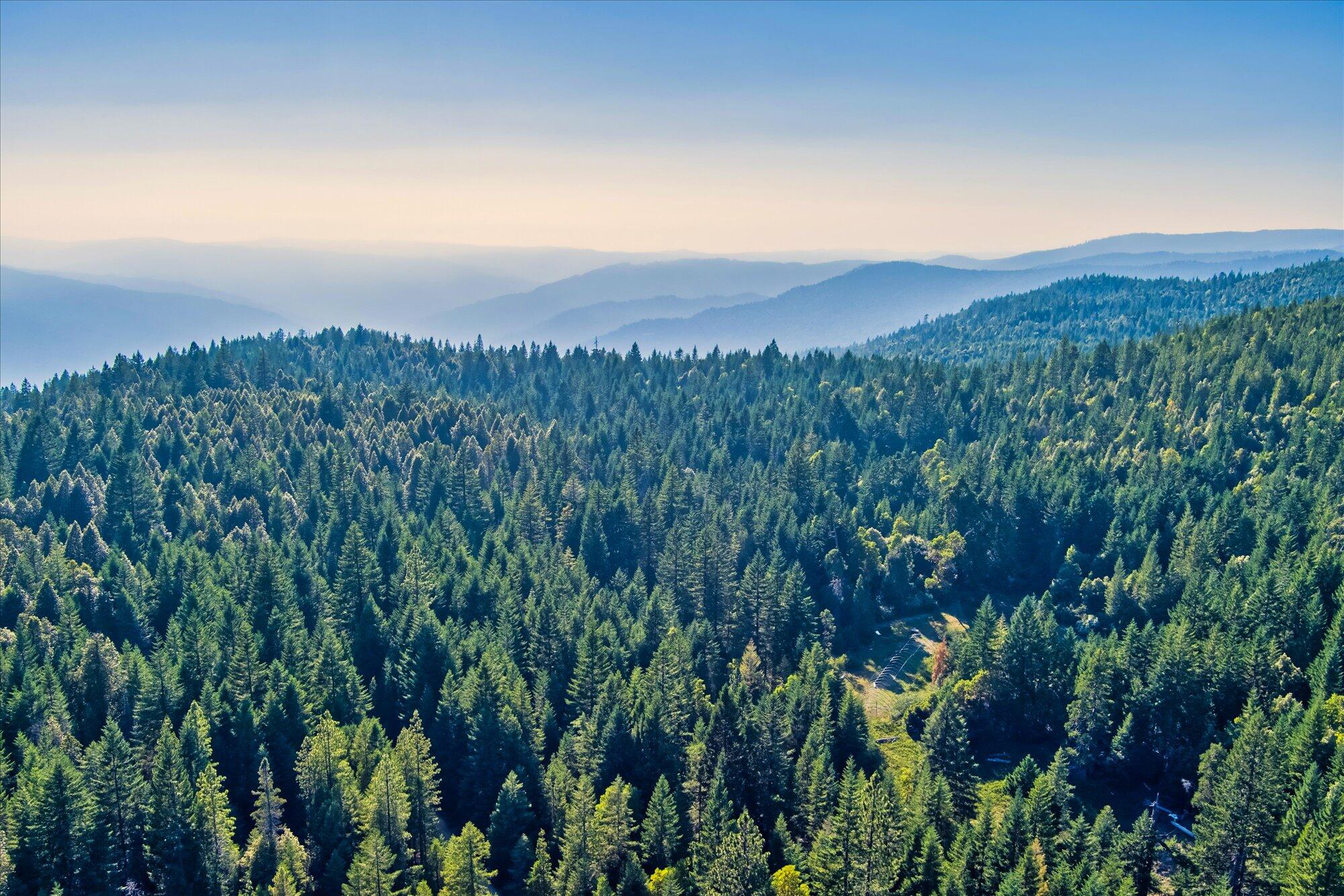 000 Bluff Creek Trail Road