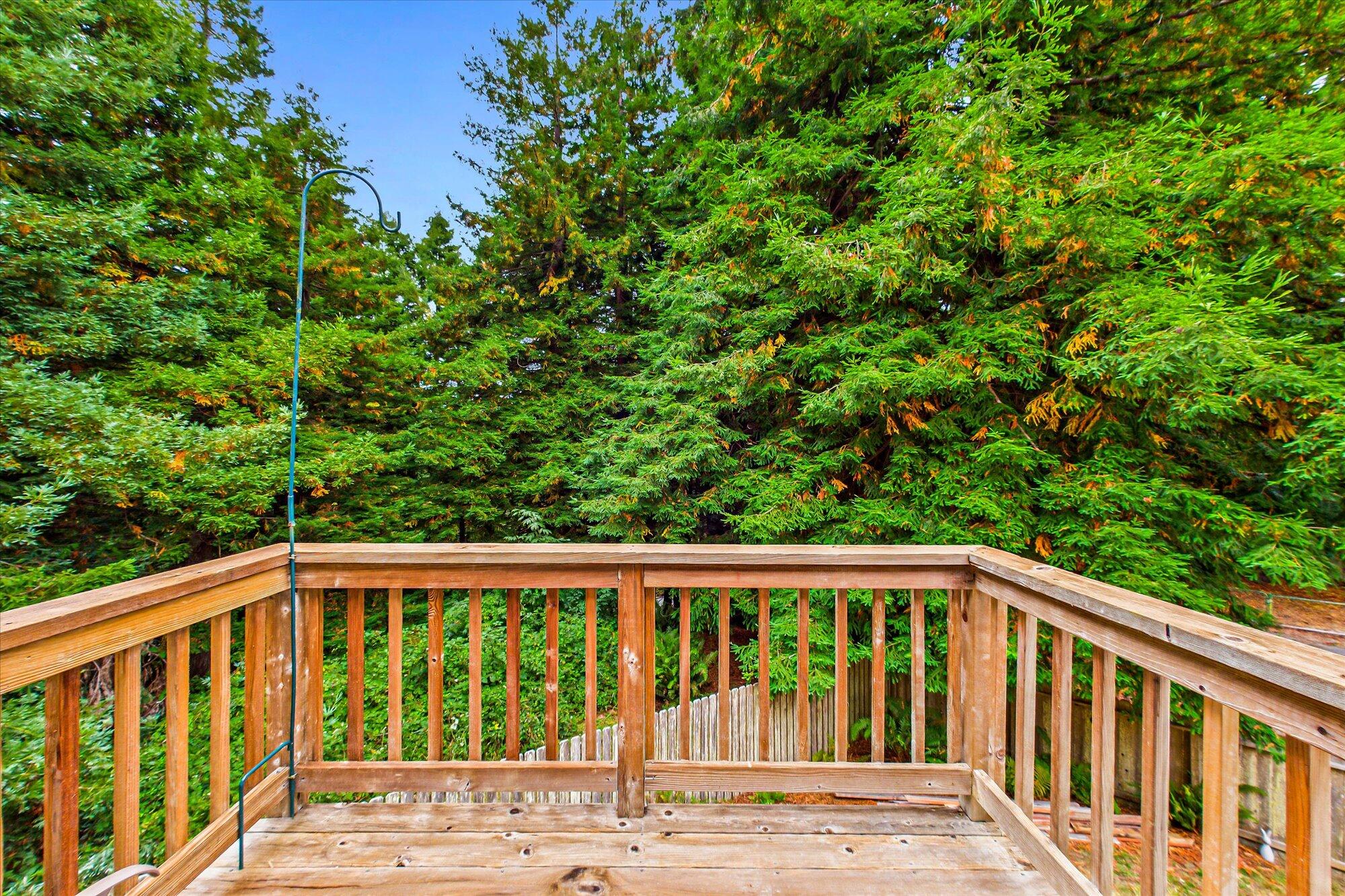 4869 Hidden Meadows Lane