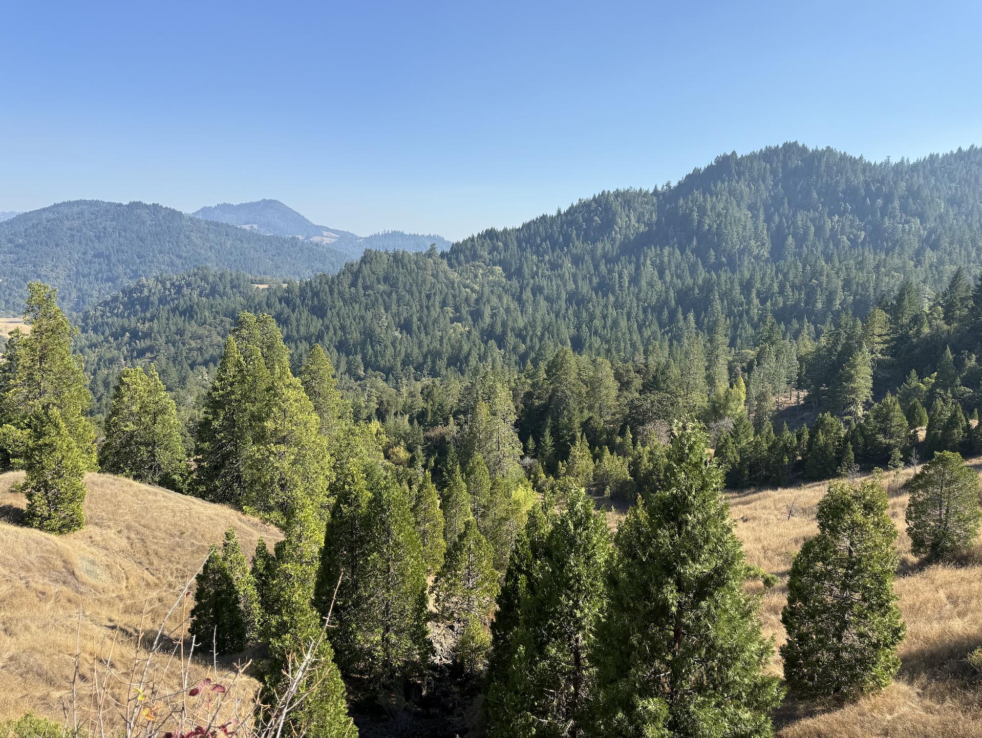7415 Salmon Creek Road