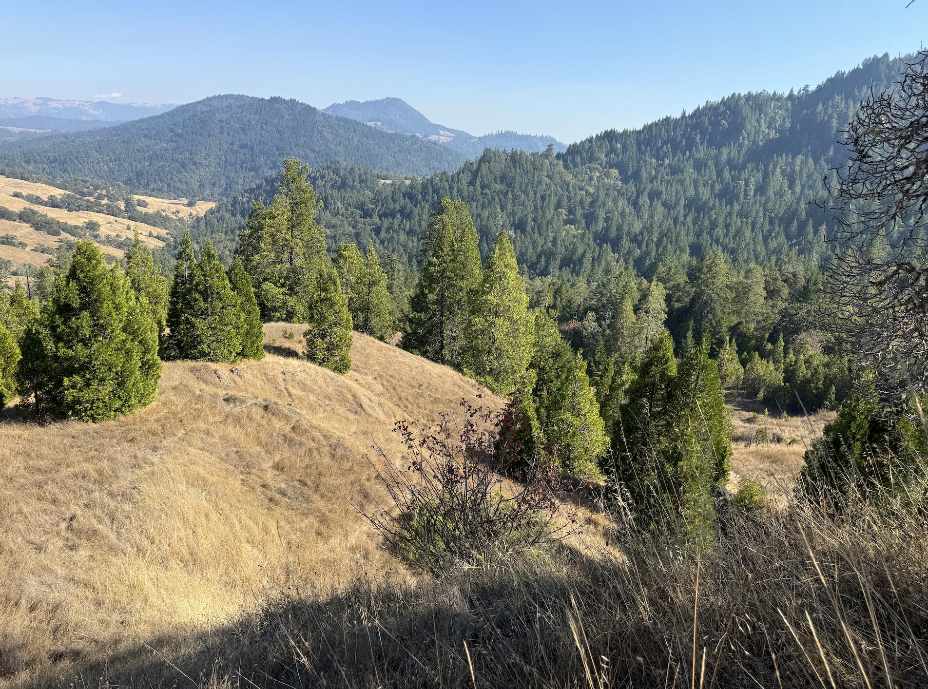 7415 Salmon Creek Road