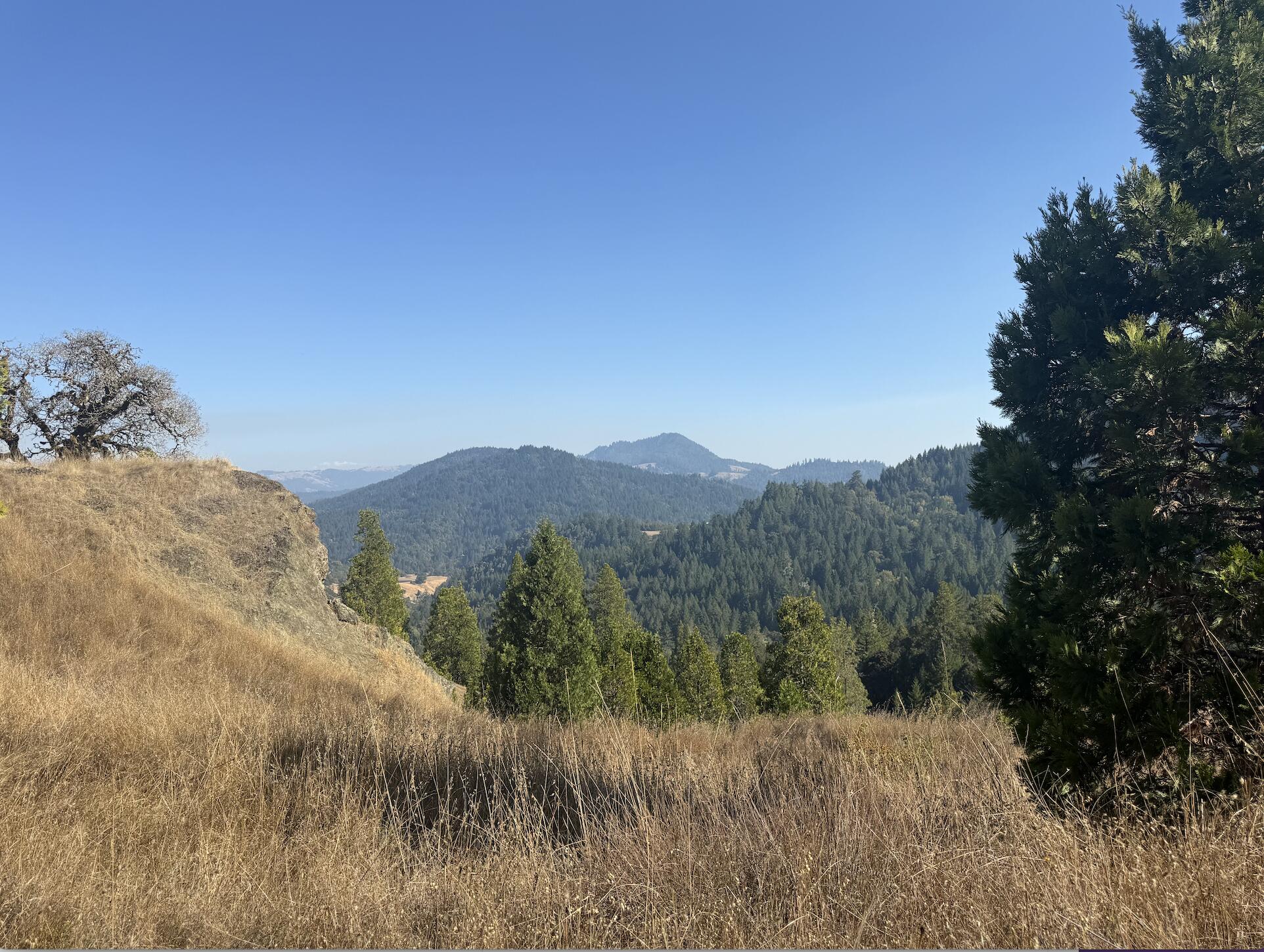 7415 Salmon Creek Road