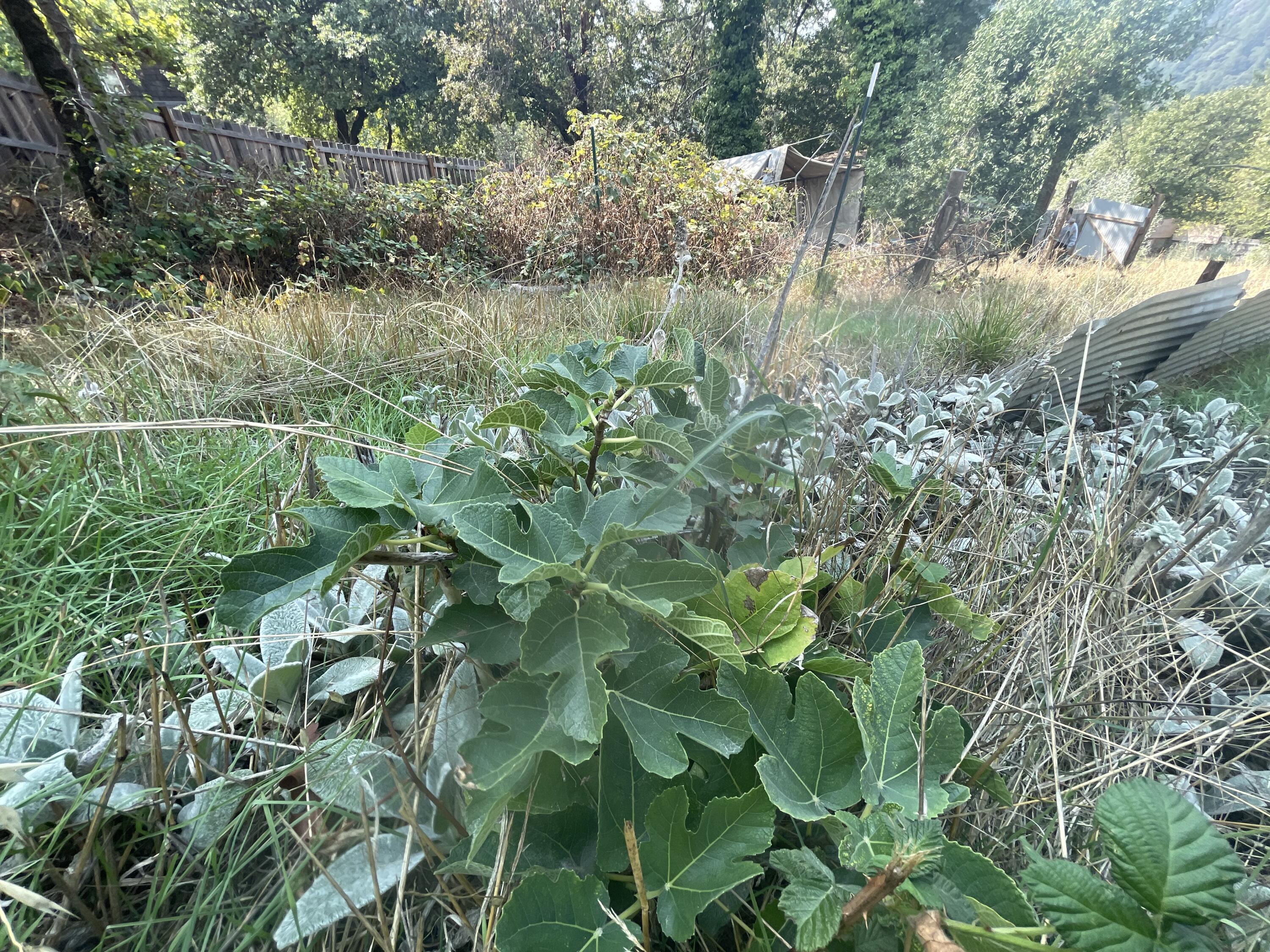 111 E Perch Creek Road