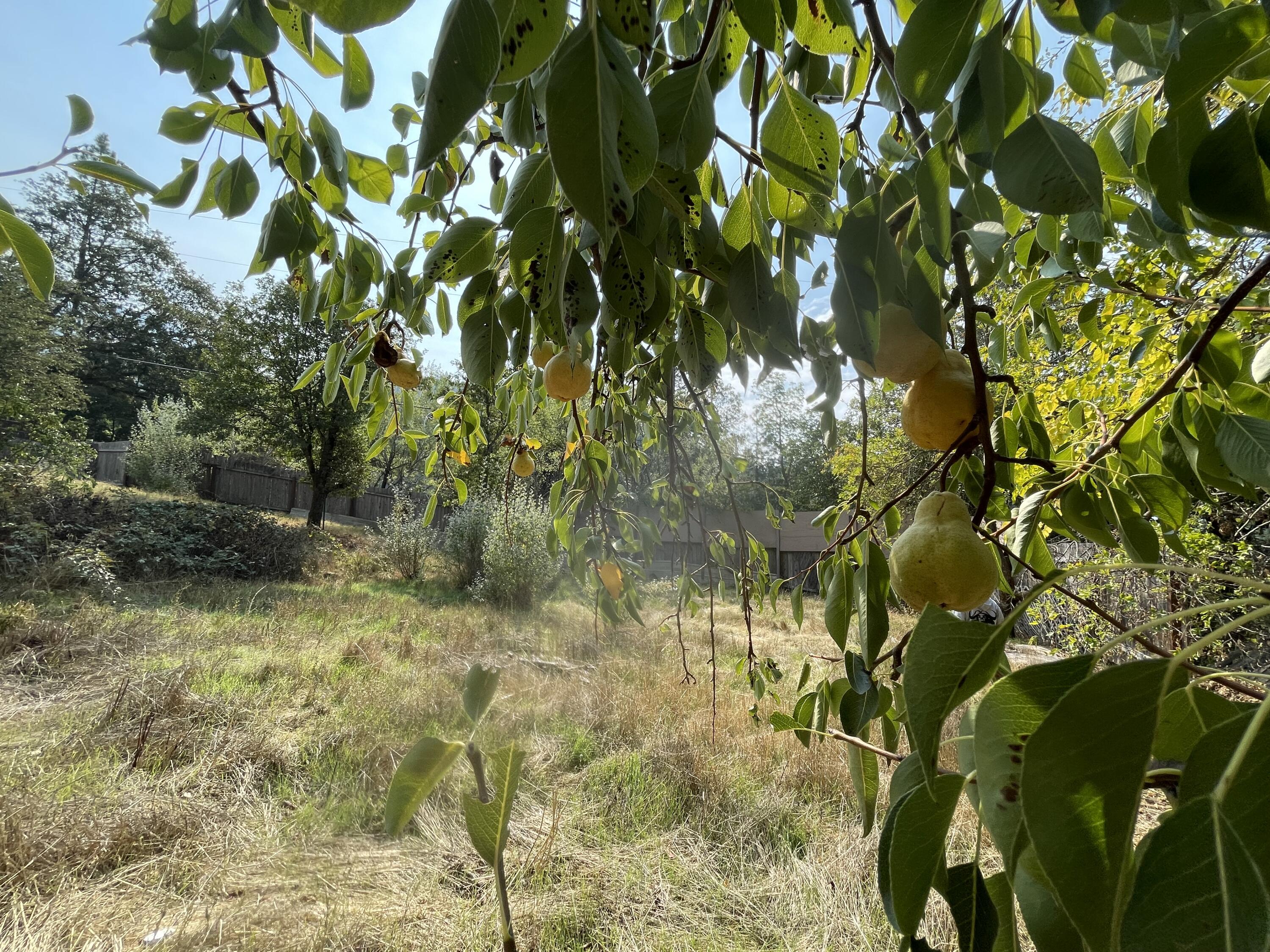 111 E Perch Creek Road