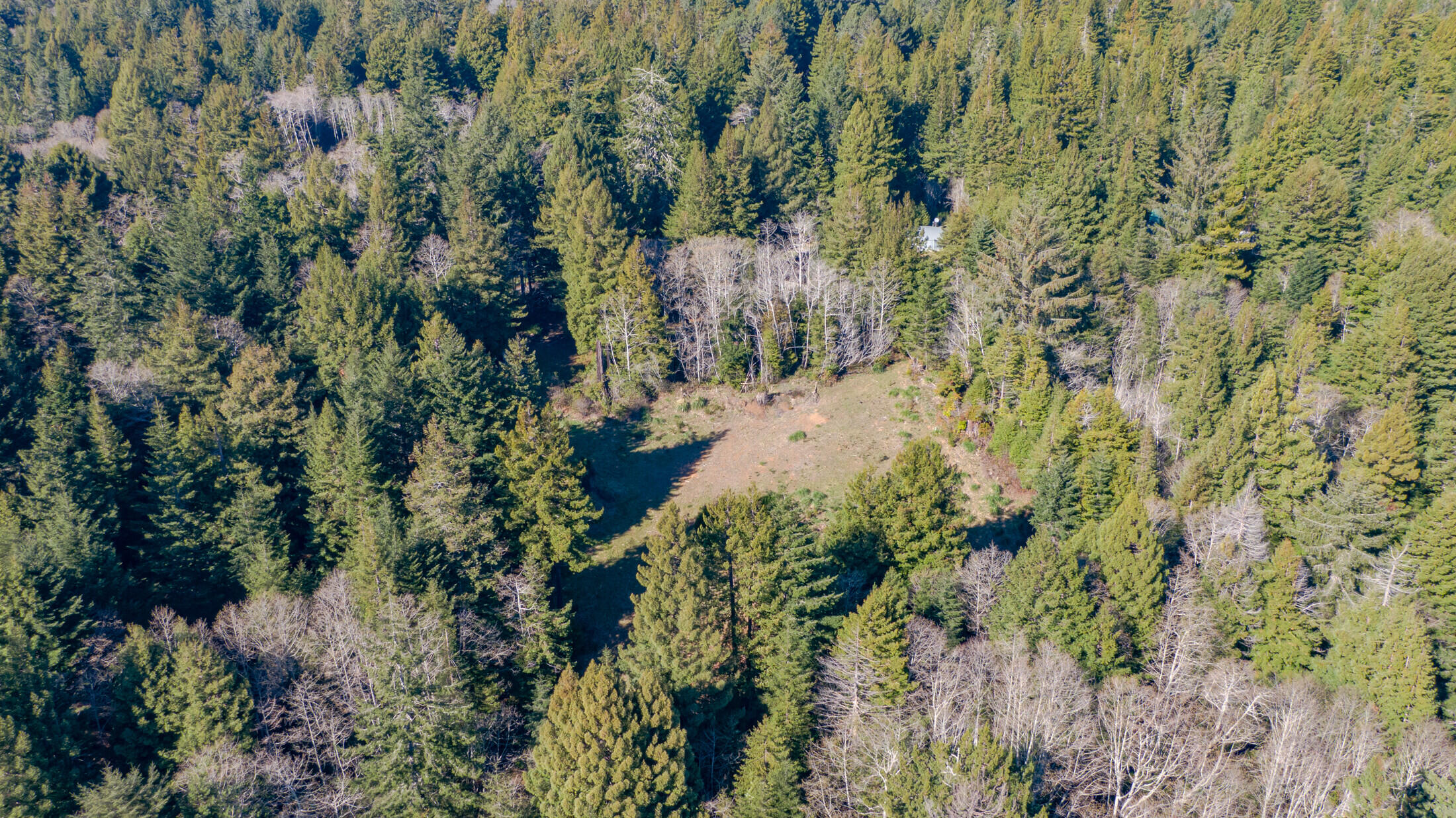 1180 Fox Farm Road