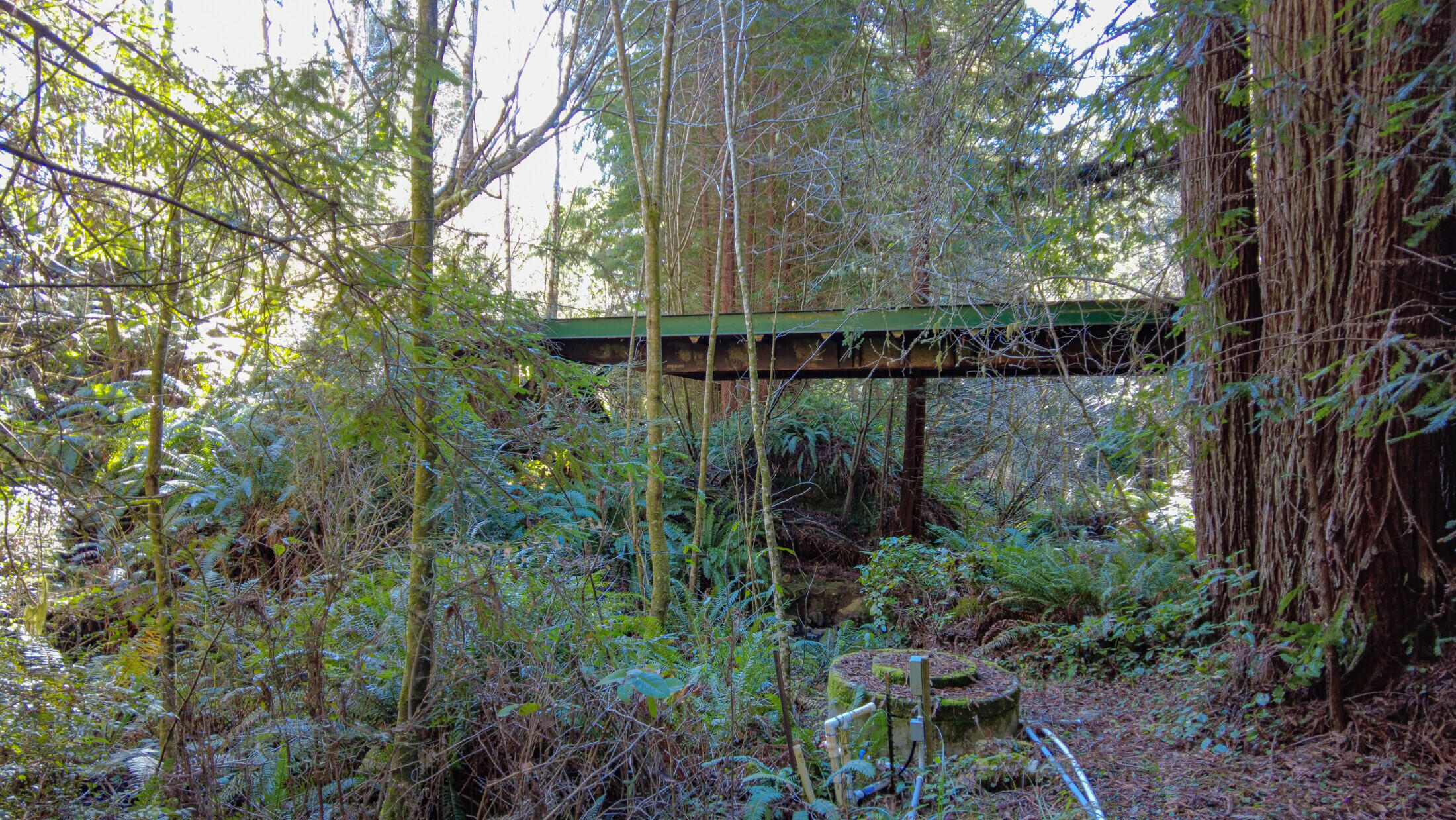 1180 Fox Farm Road