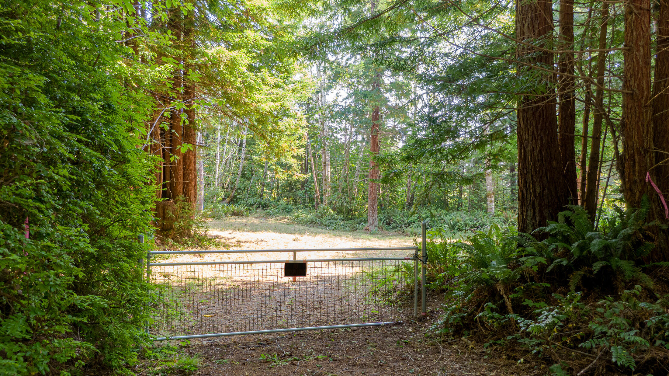1180 Fox Farm Road