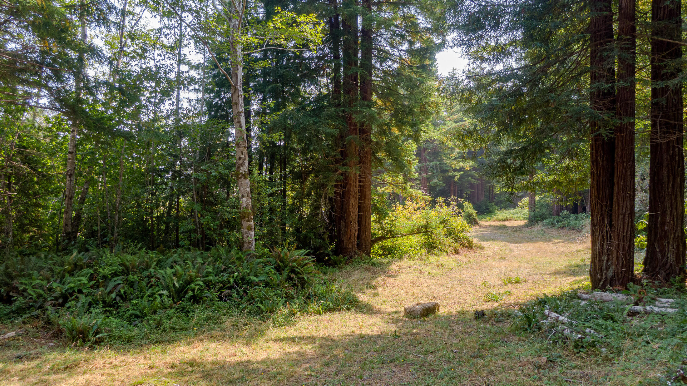 1180 Fox Farm Road