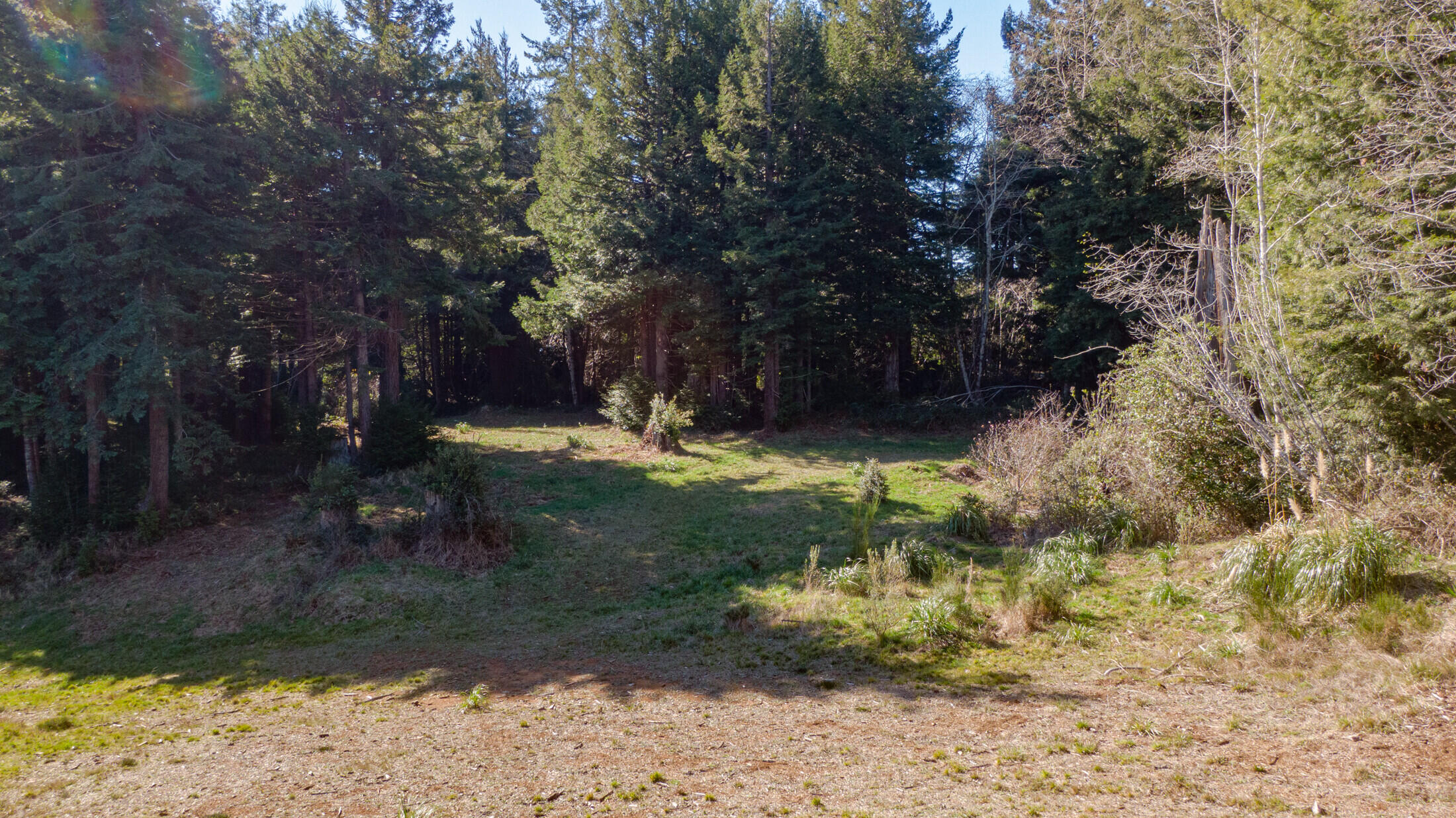 1180 Fox Farm Road