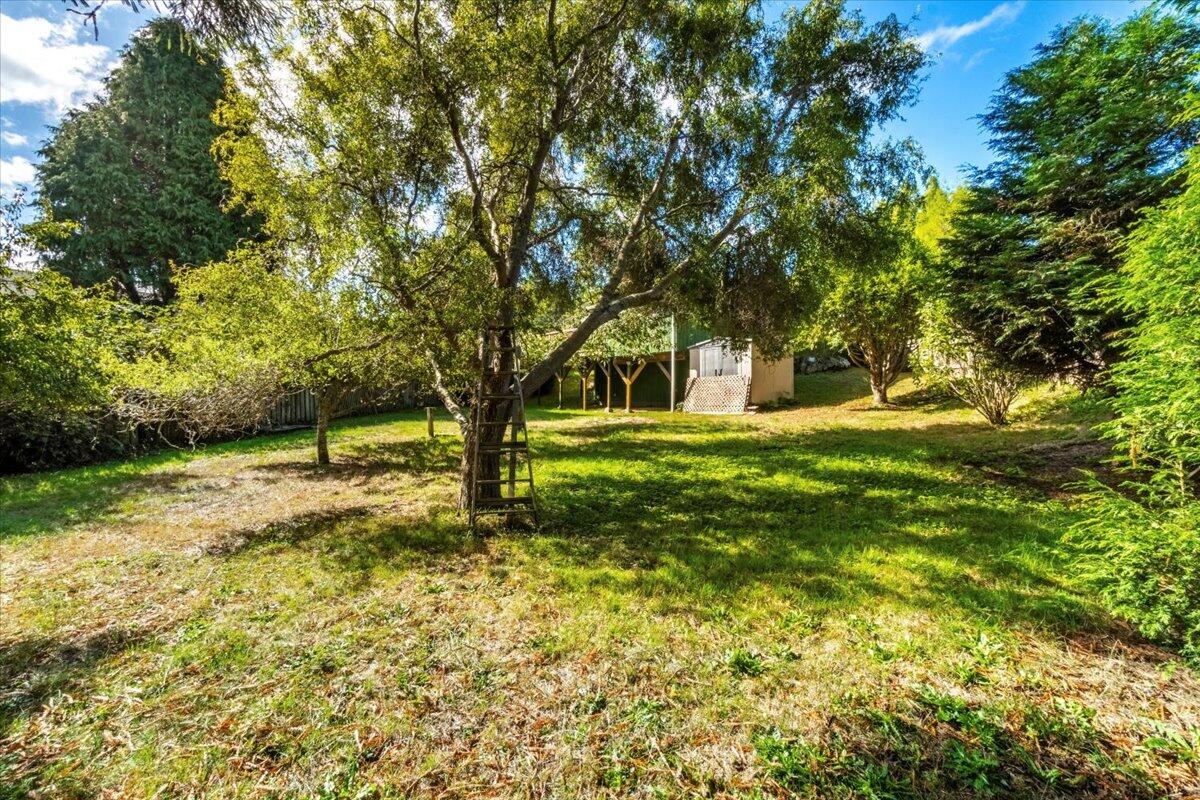 6093 Beechwood Drive