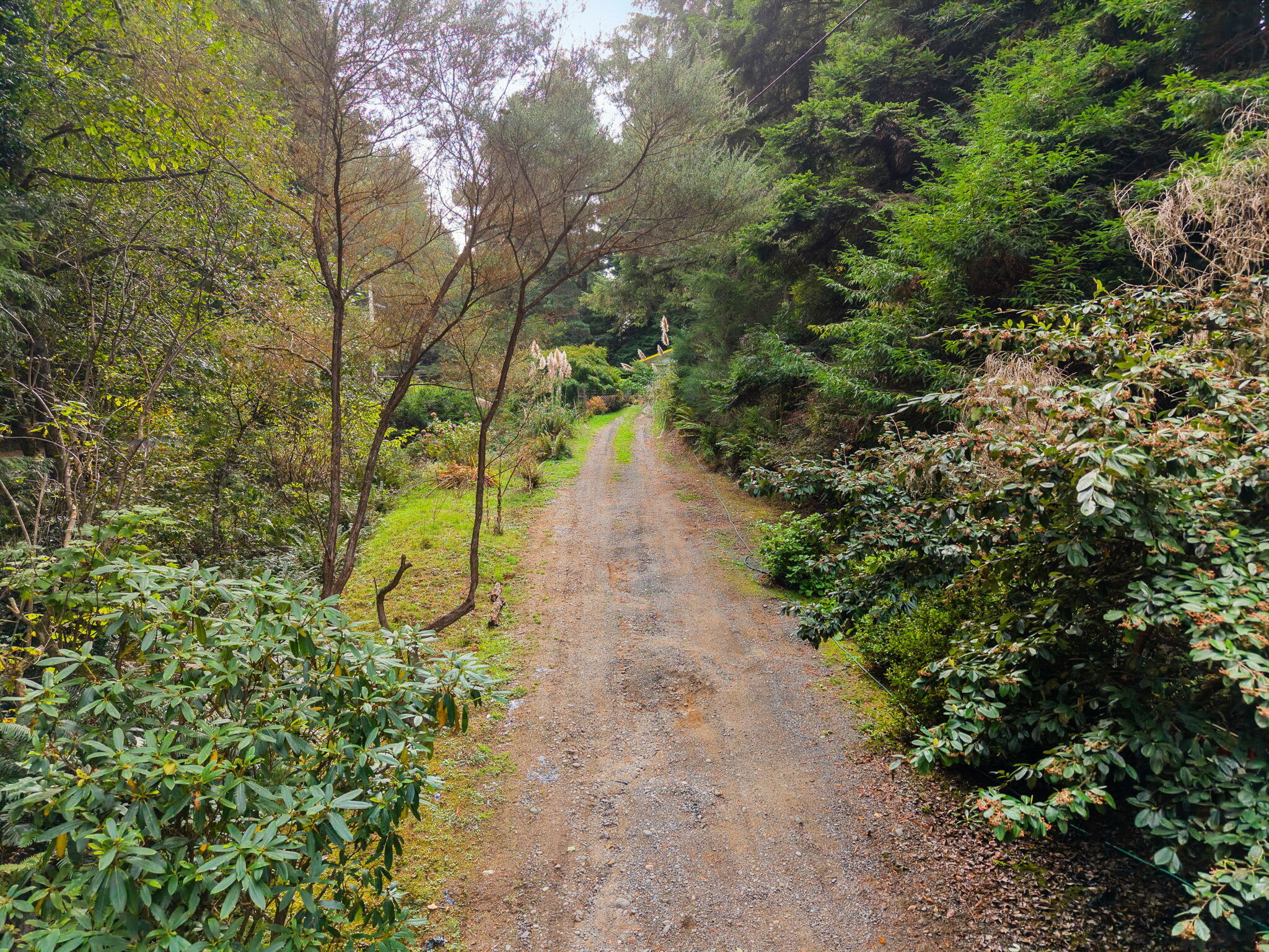 7382 Berta Road, Eureka