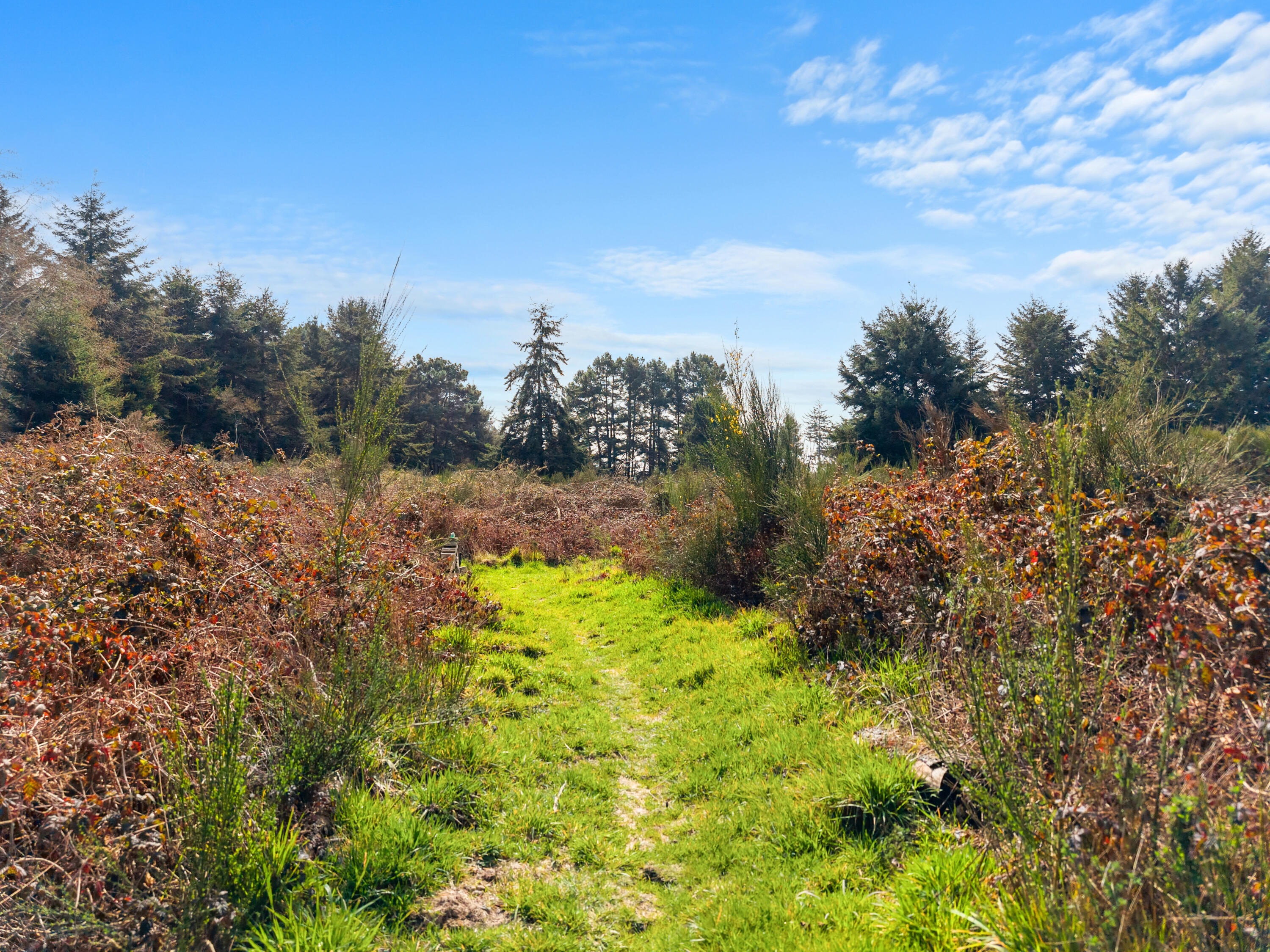 1896 Blake Road, McKinleyville