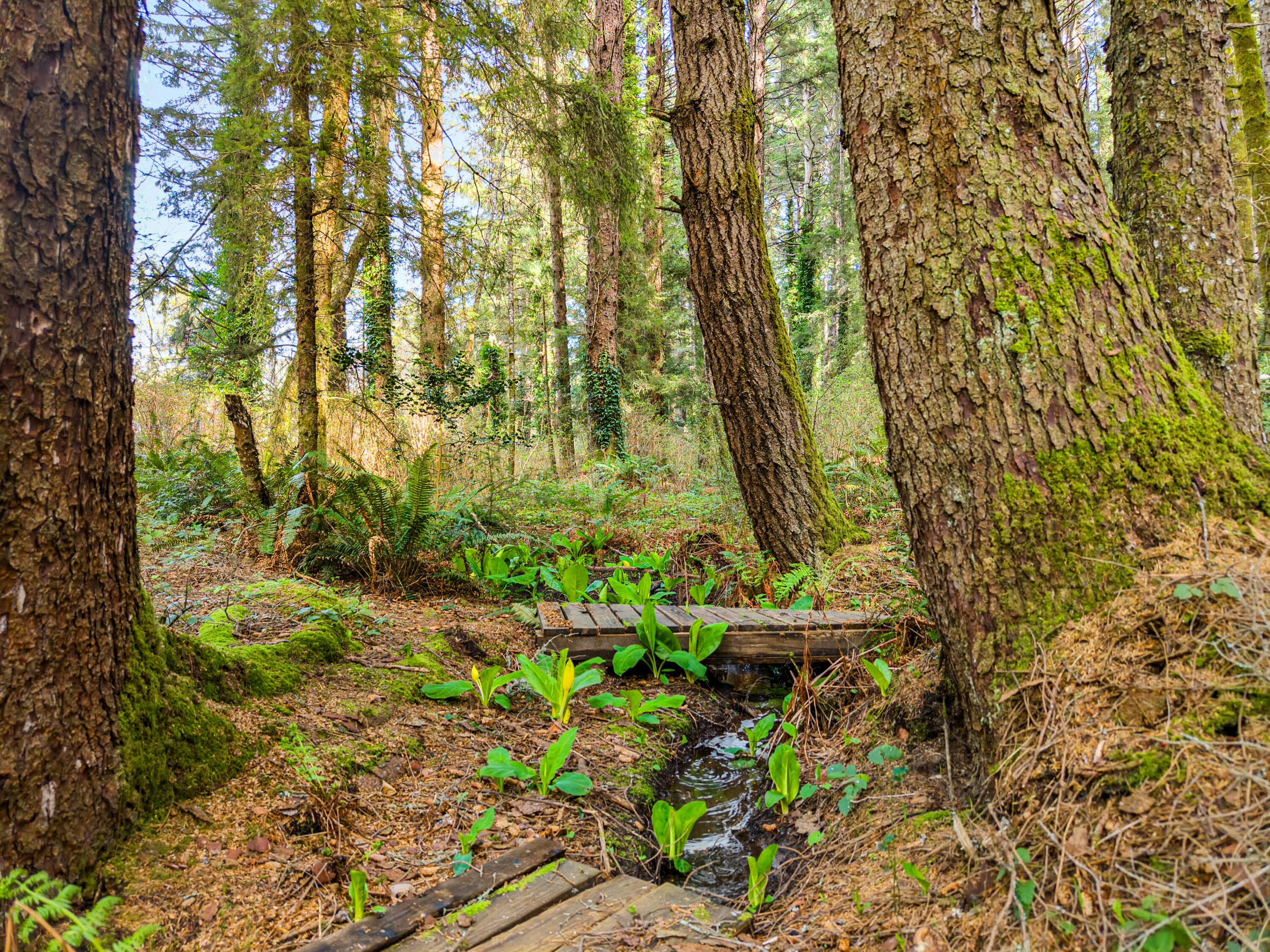 1896 Blake Road, McKinleyville