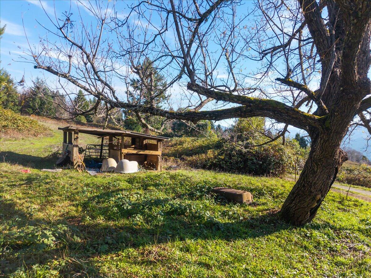 994 Bloody Camp Road