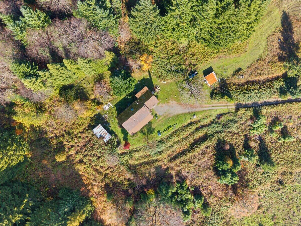 994 Bloody Camp Road