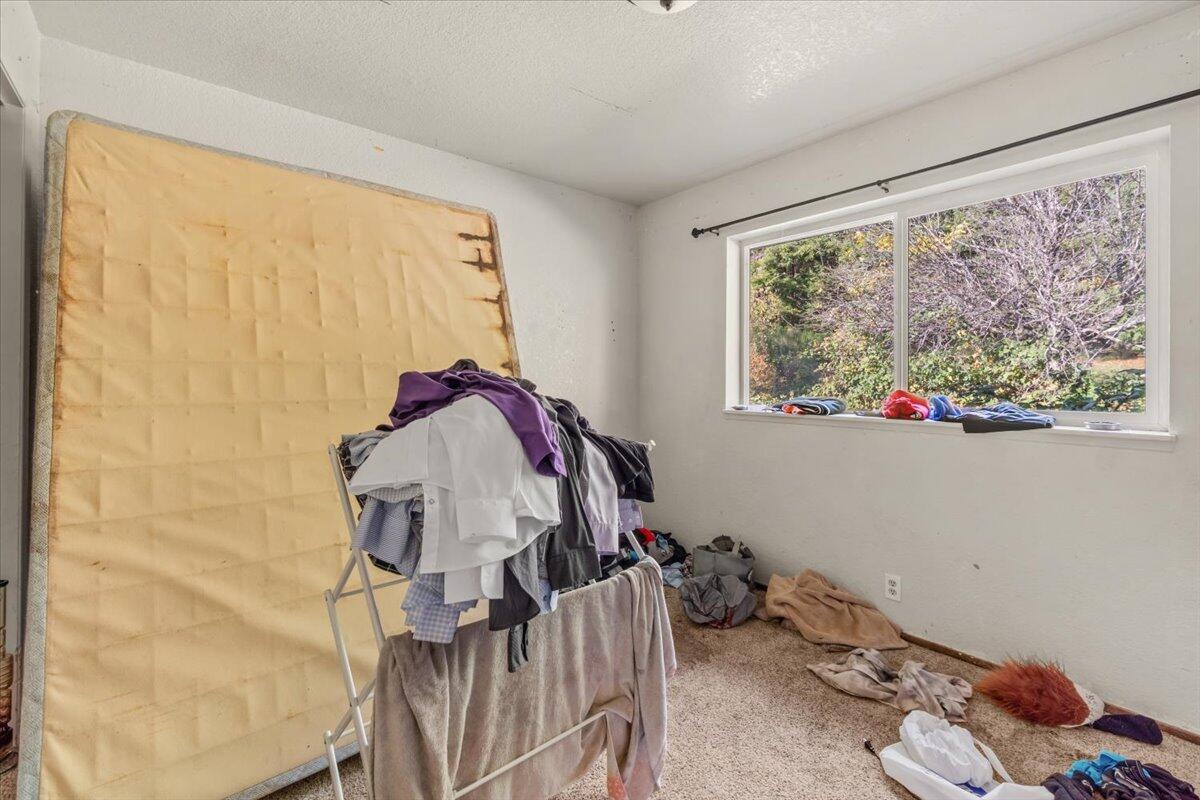 994 Bloody Camp Road