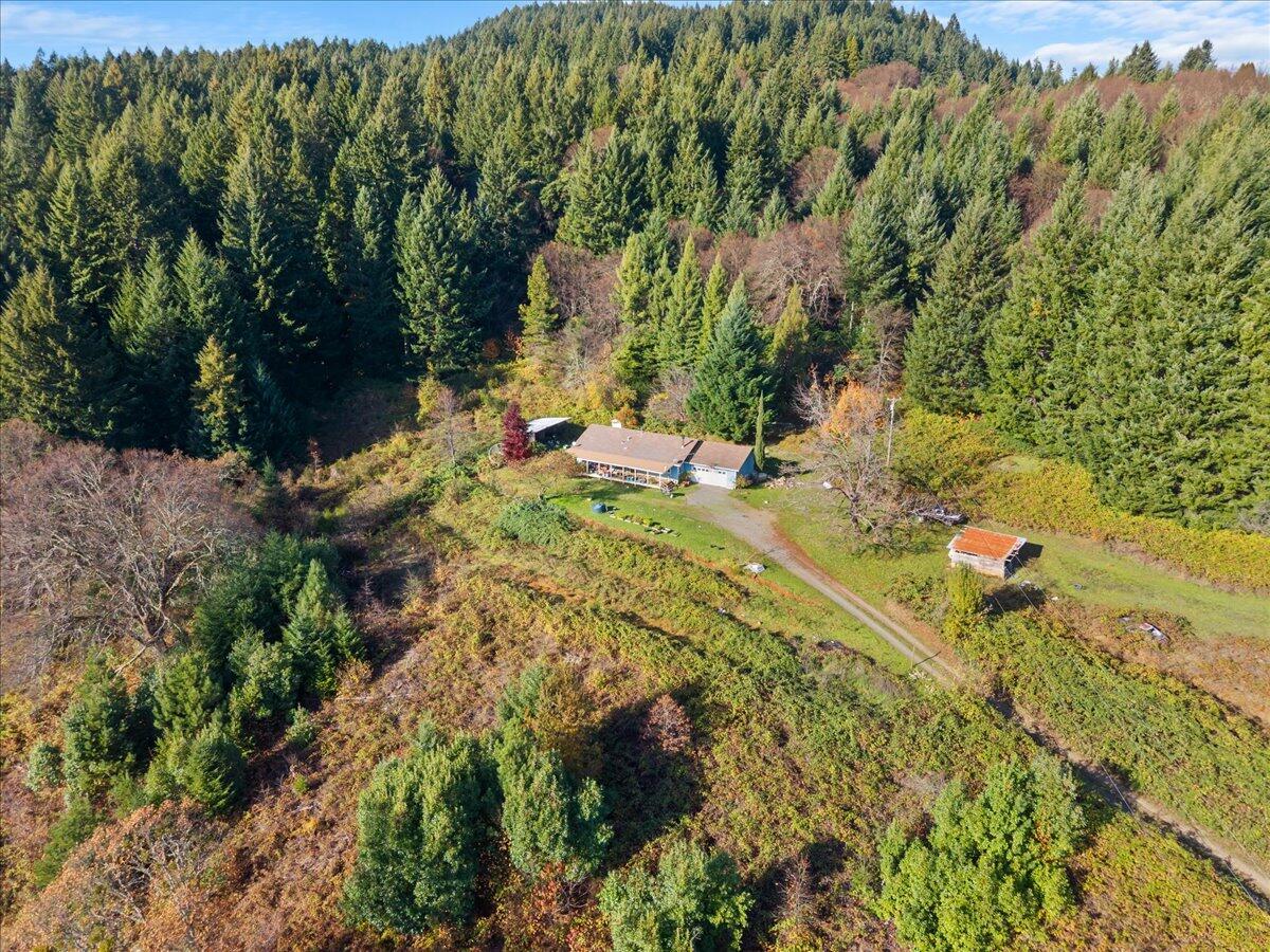 994 Bloody Camp Road