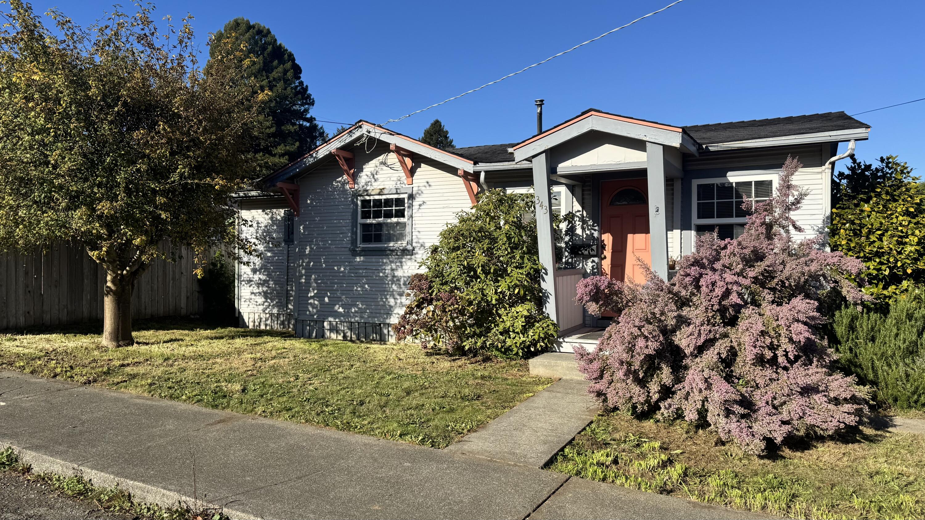 343 Spruce Street