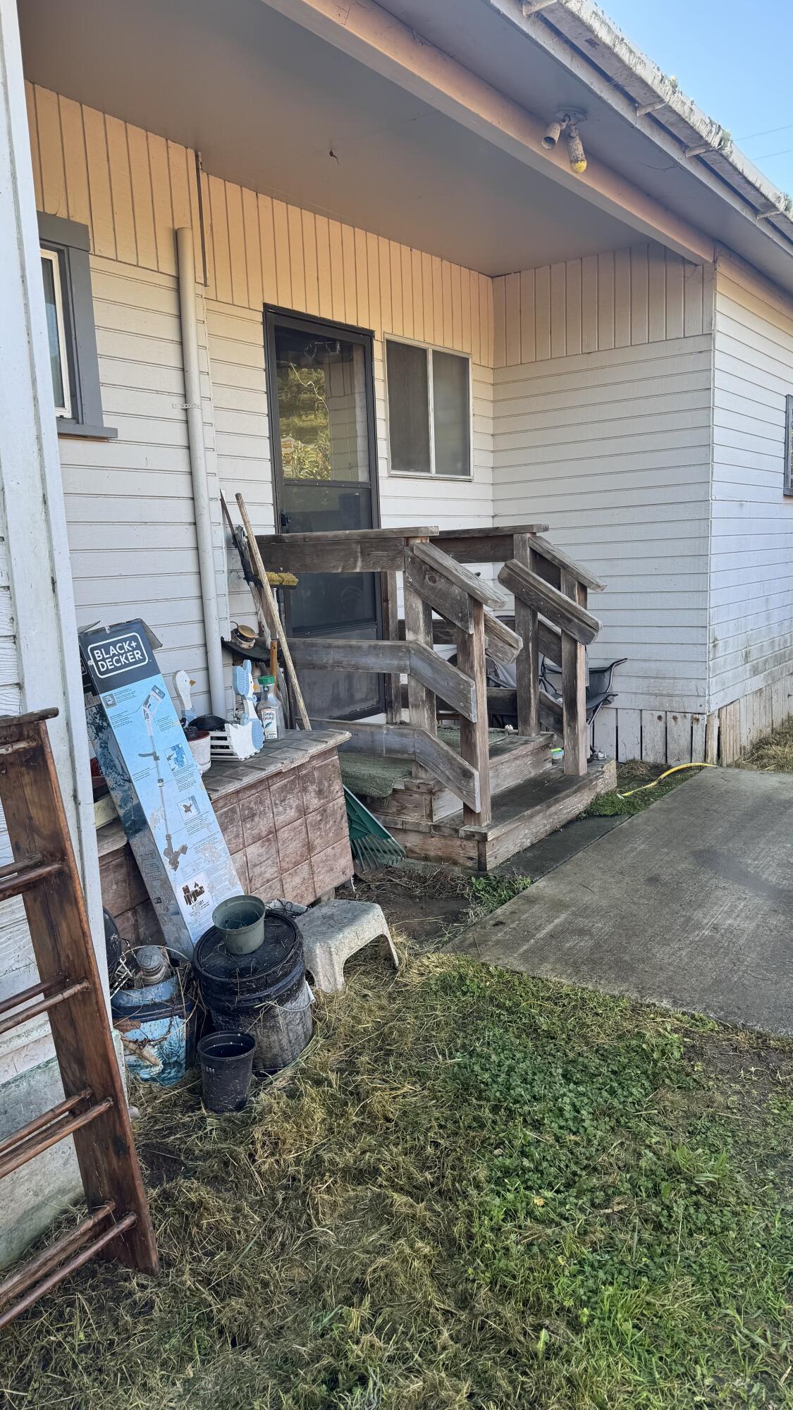 343 Spruce Street