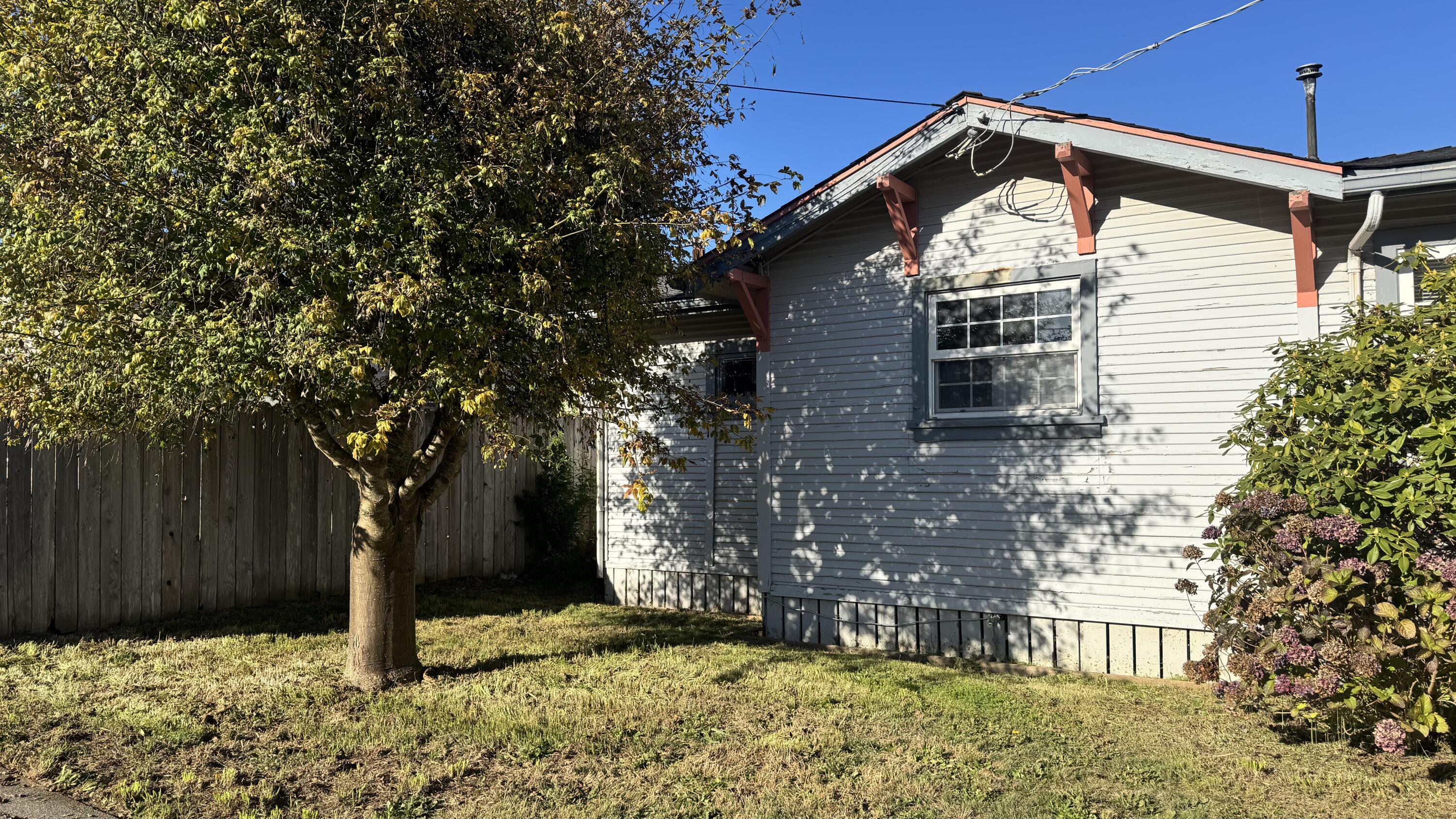 343 Spruce Street