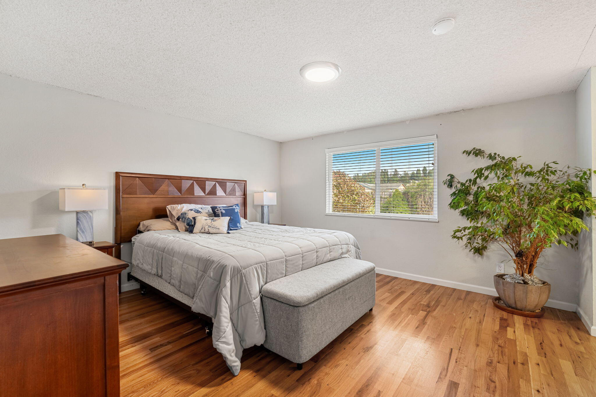 3212 Zelia Court