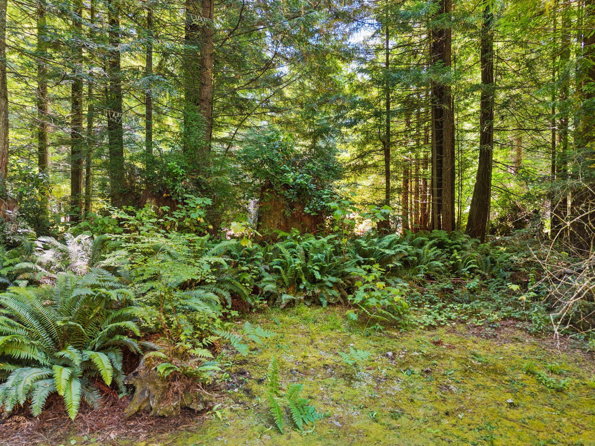 140 Red Robin Place