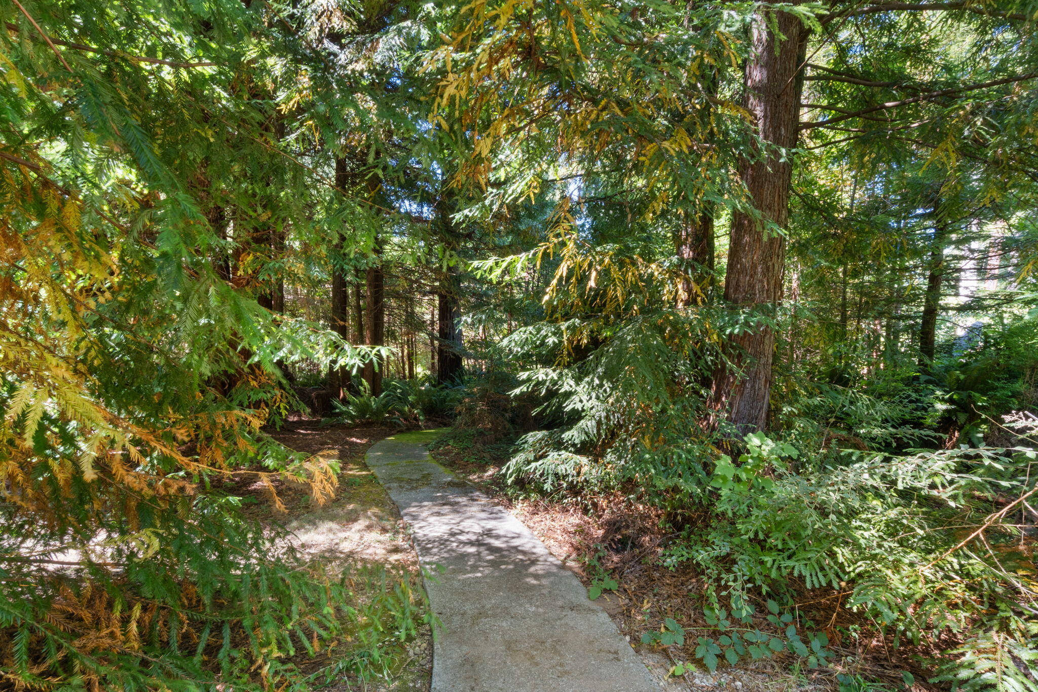 140 Red Robin Place