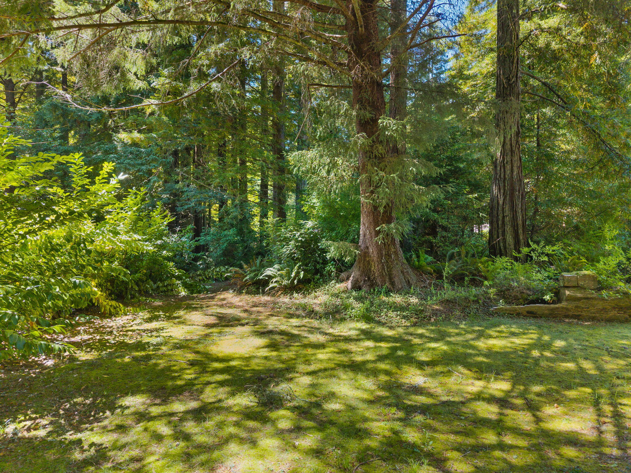140 Red Robin Place