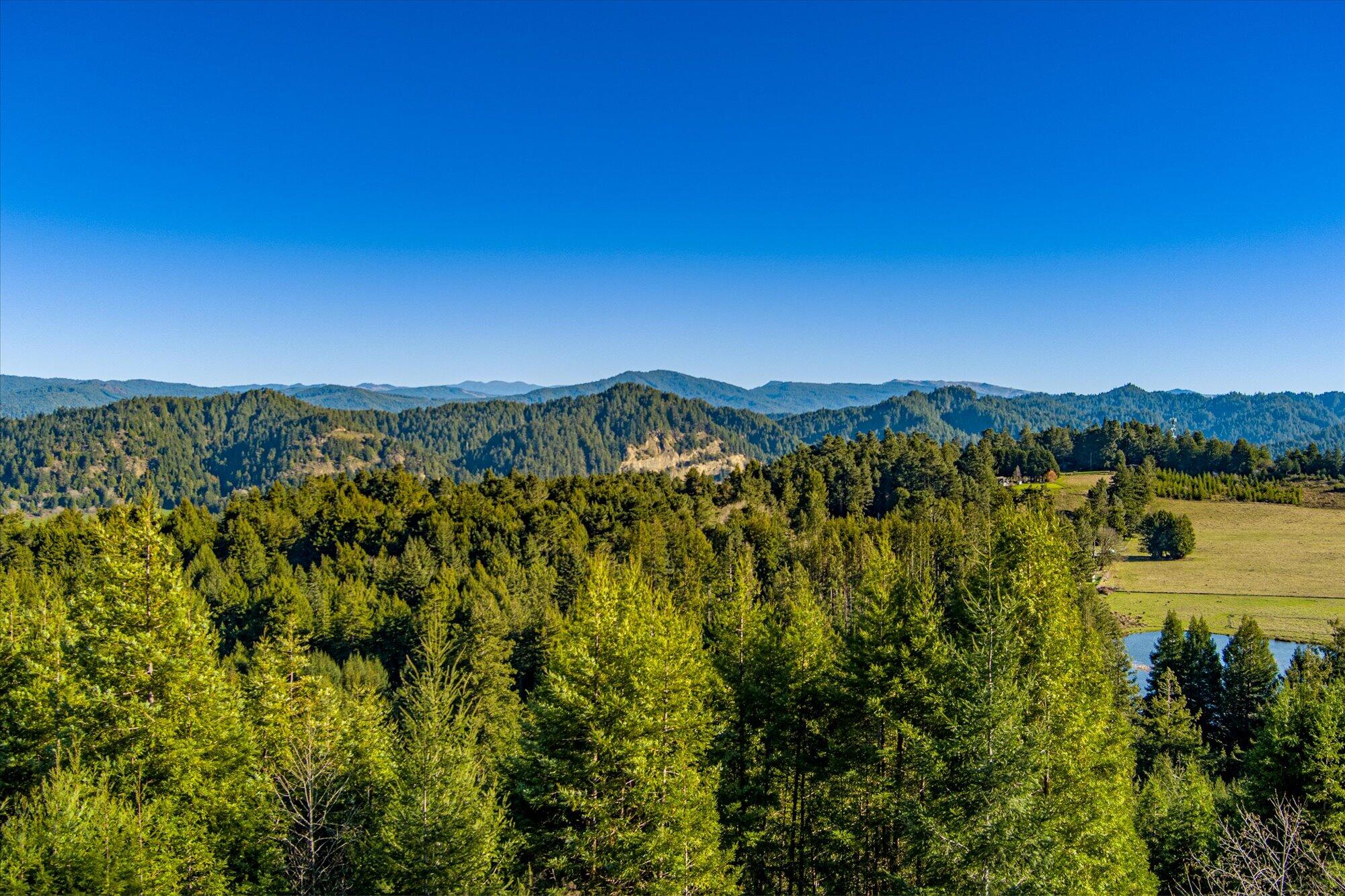 1150 Rio Vista Lane