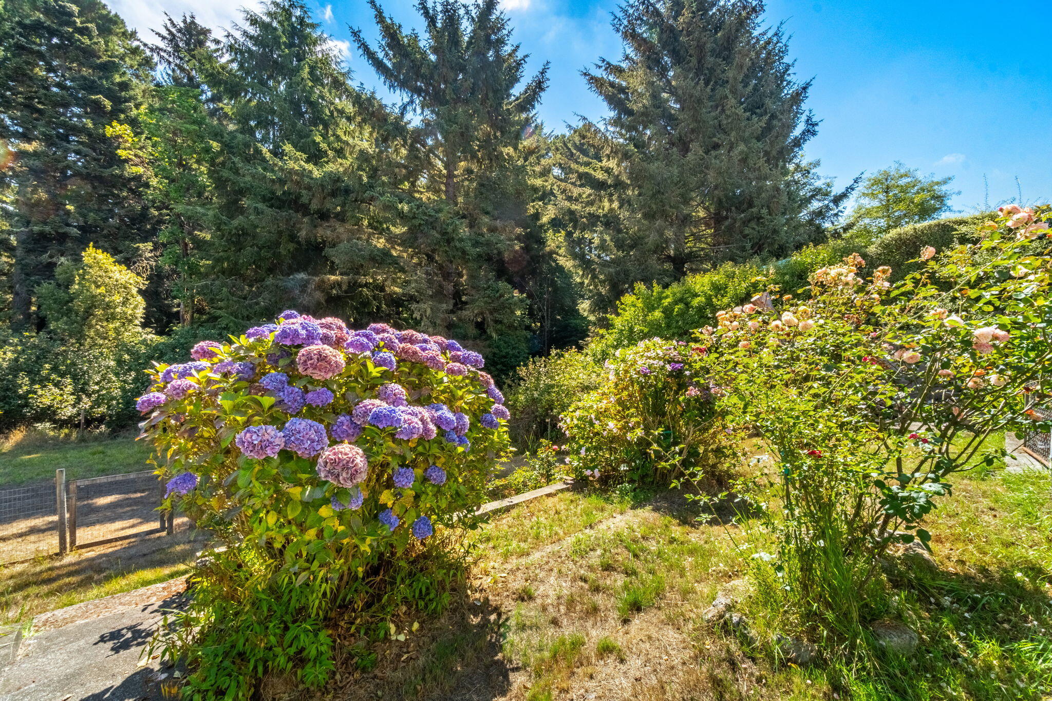 6829 Bret Harte Lane