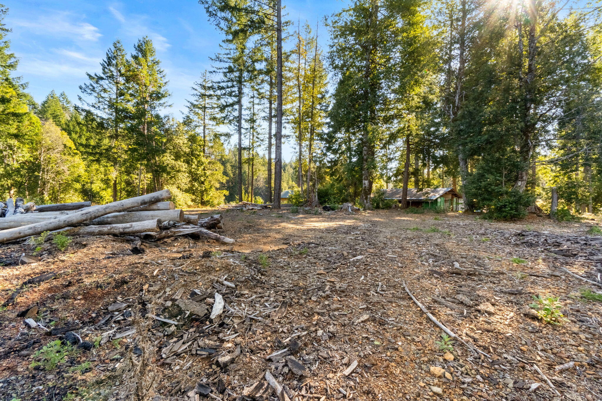 4945 Zenia Lake Mountain Road