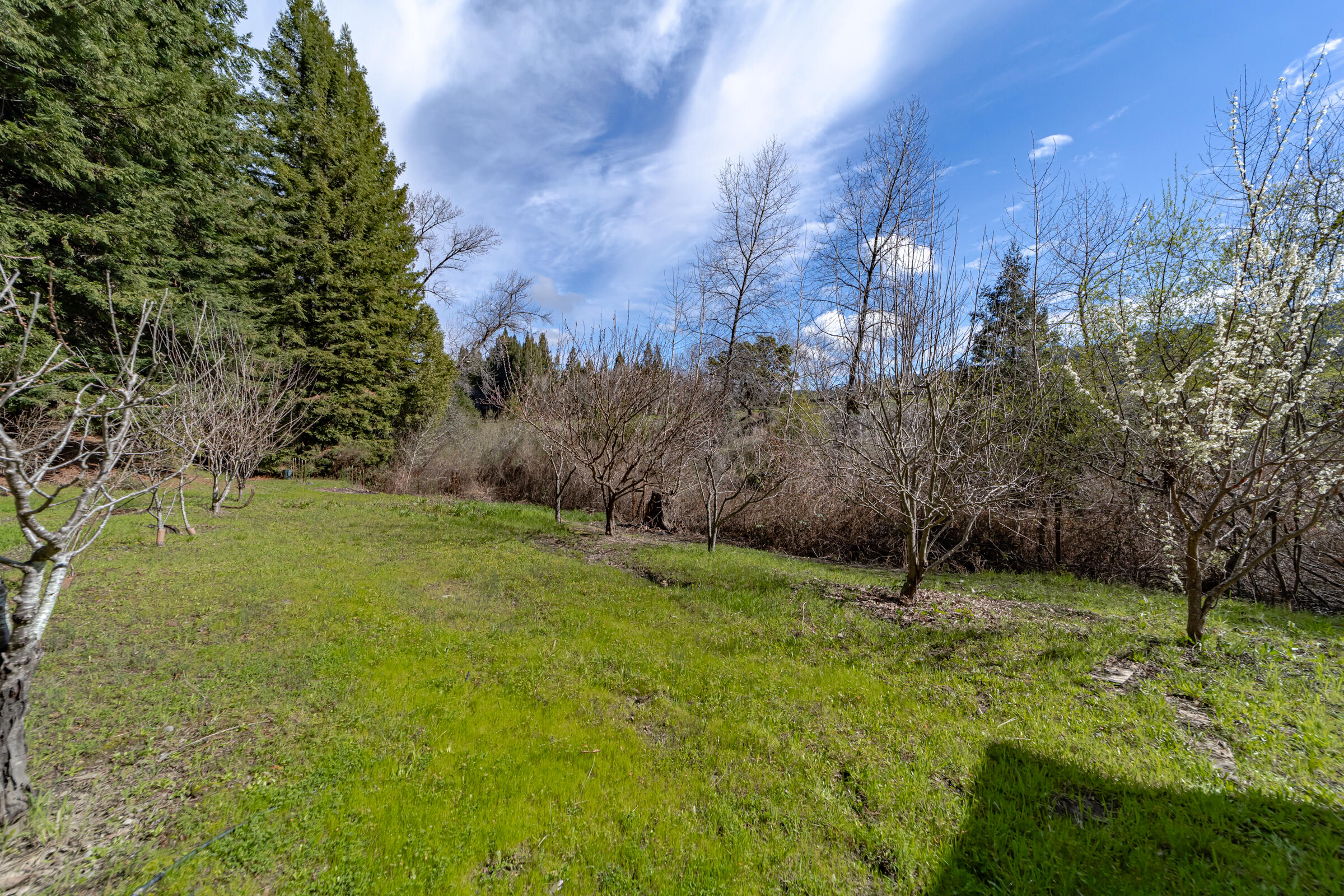2375 Salmon Creek Road