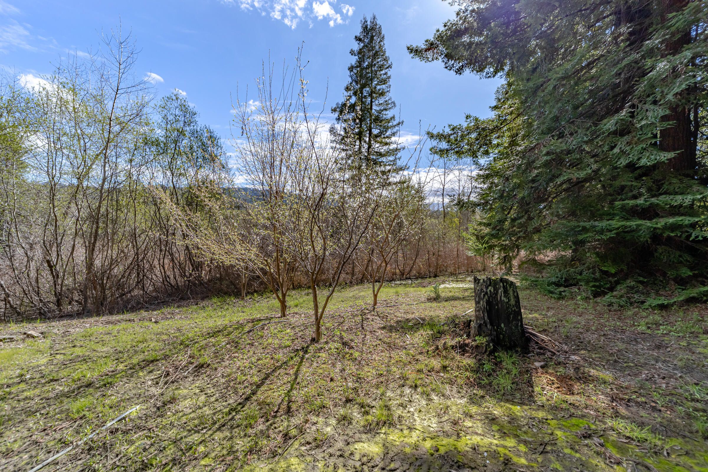 2375 Salmon Creek Road