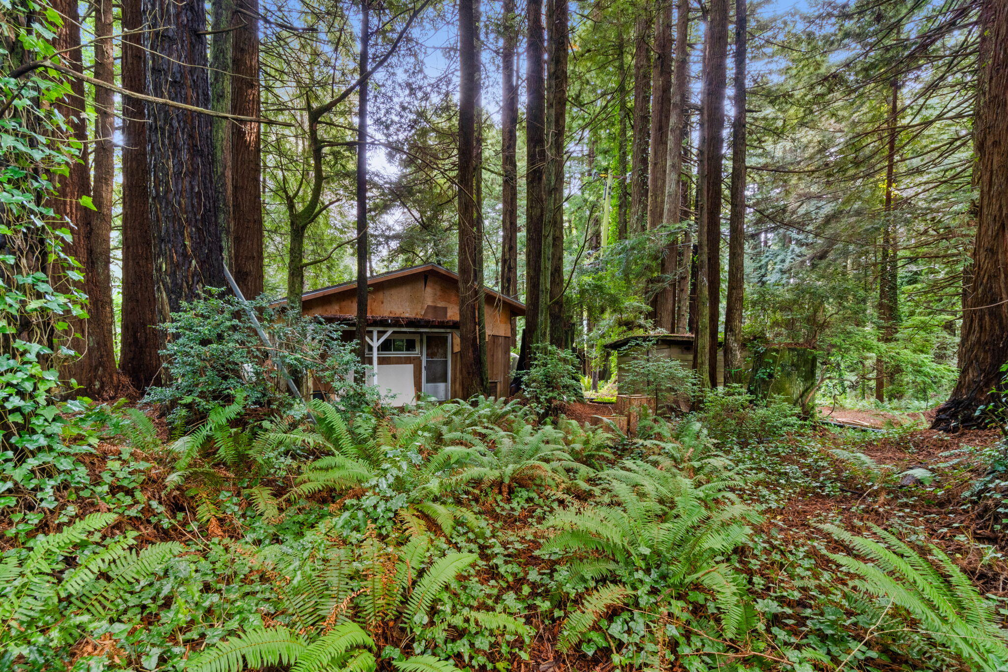 207 Langford Road